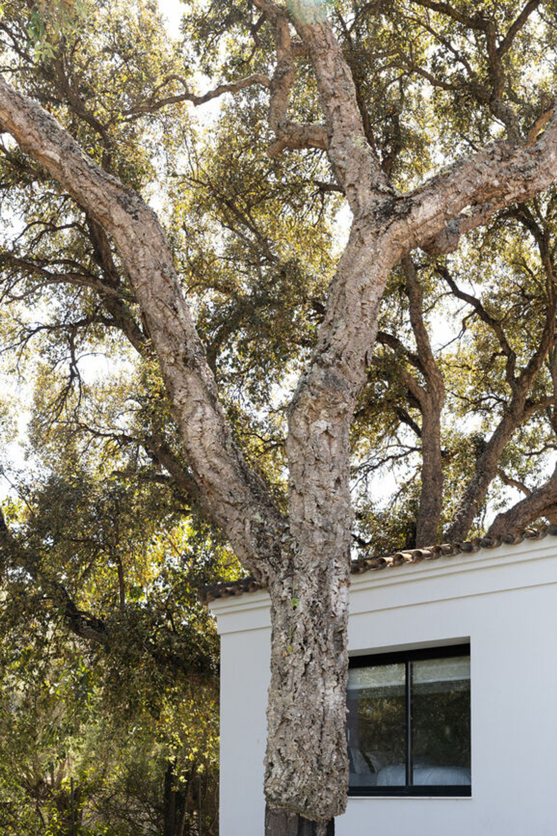 casa en San Roque, Andalucía 10913563