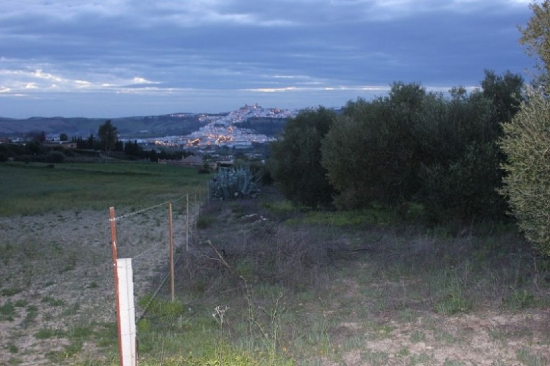 Land in Arcos de la Frontera, Andalucía 10913975