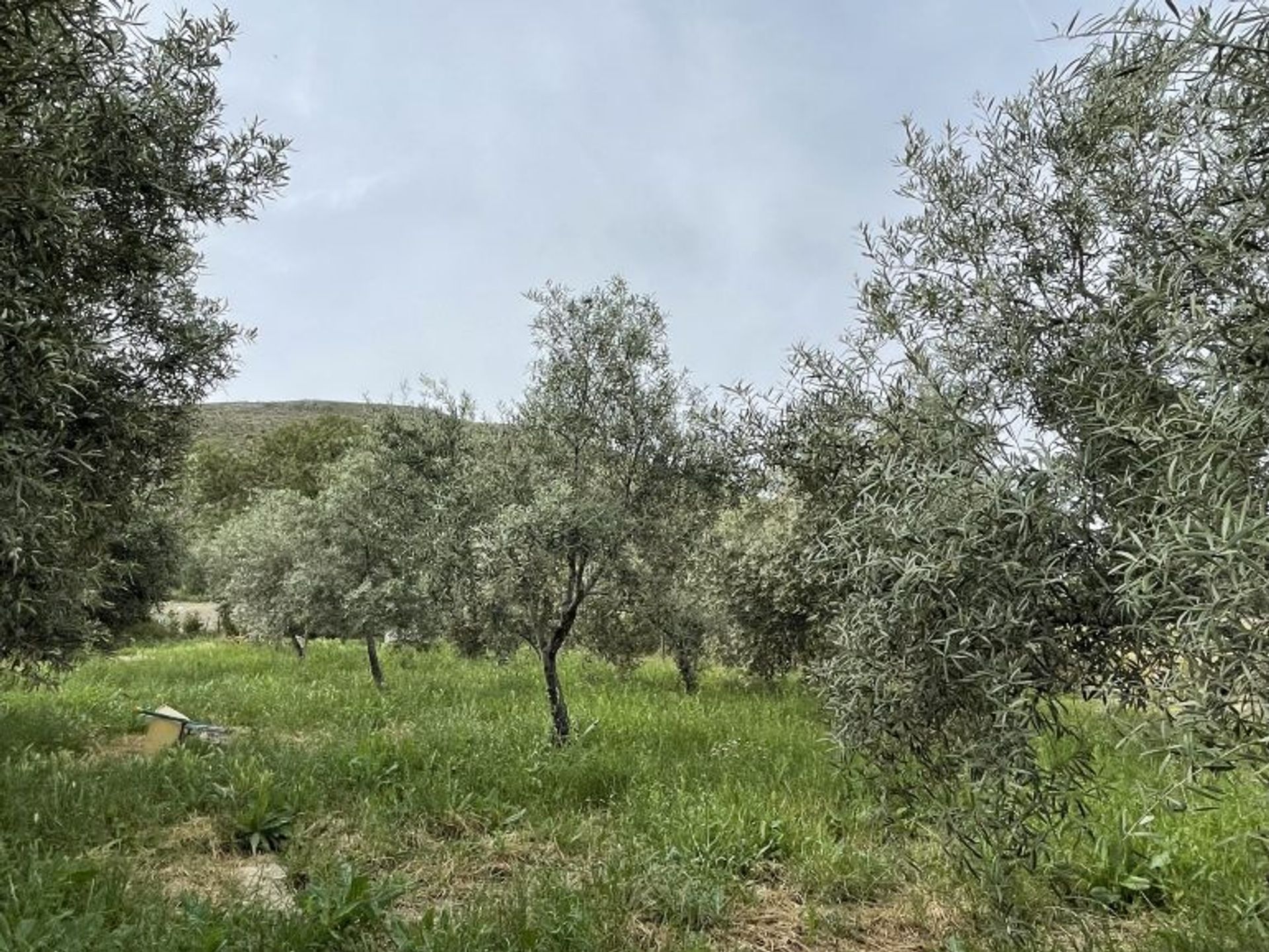 жилой дом в Ronda, Andalucía 10914043