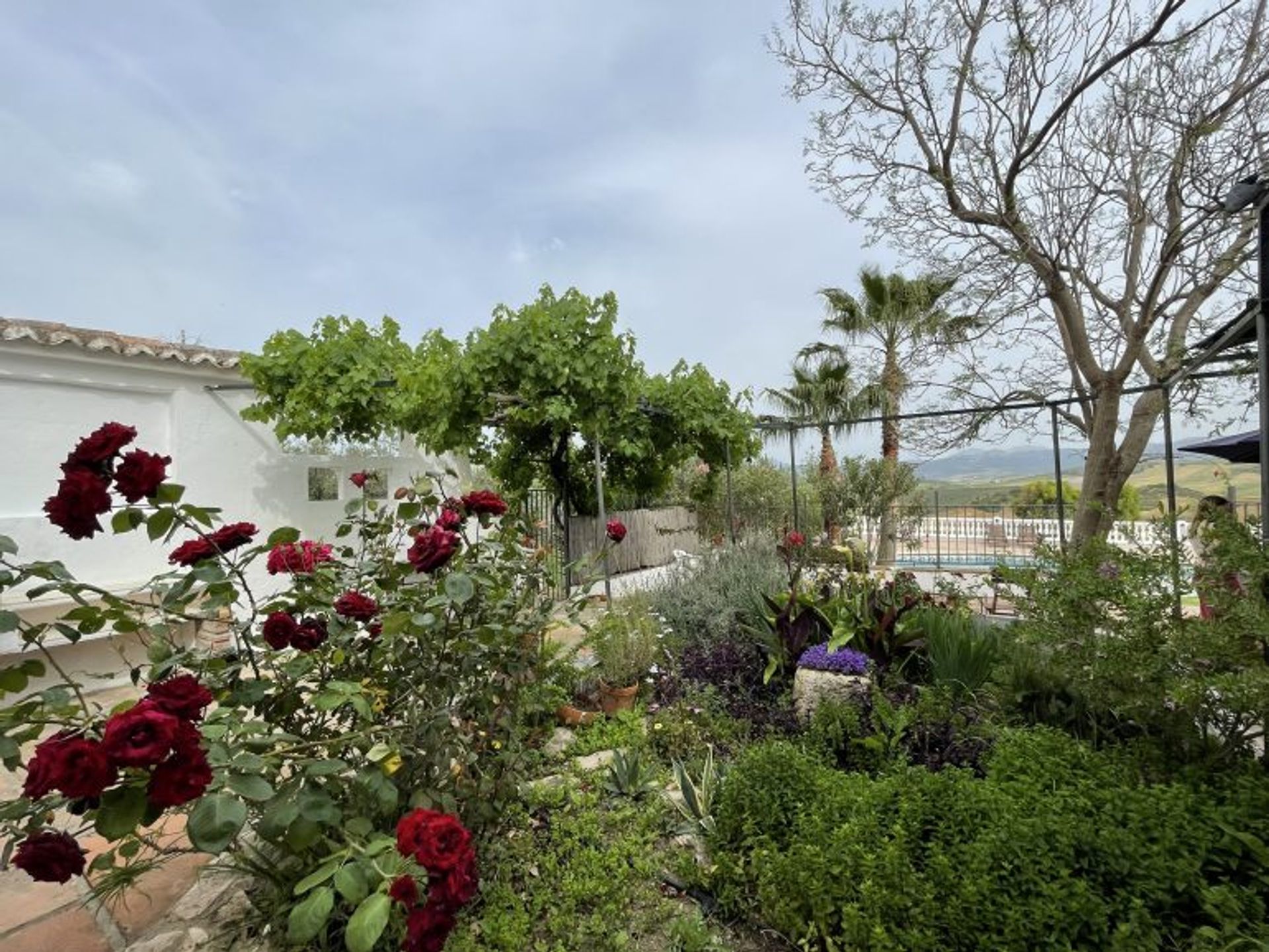 Huis in Ronda, Andalucía 10914043