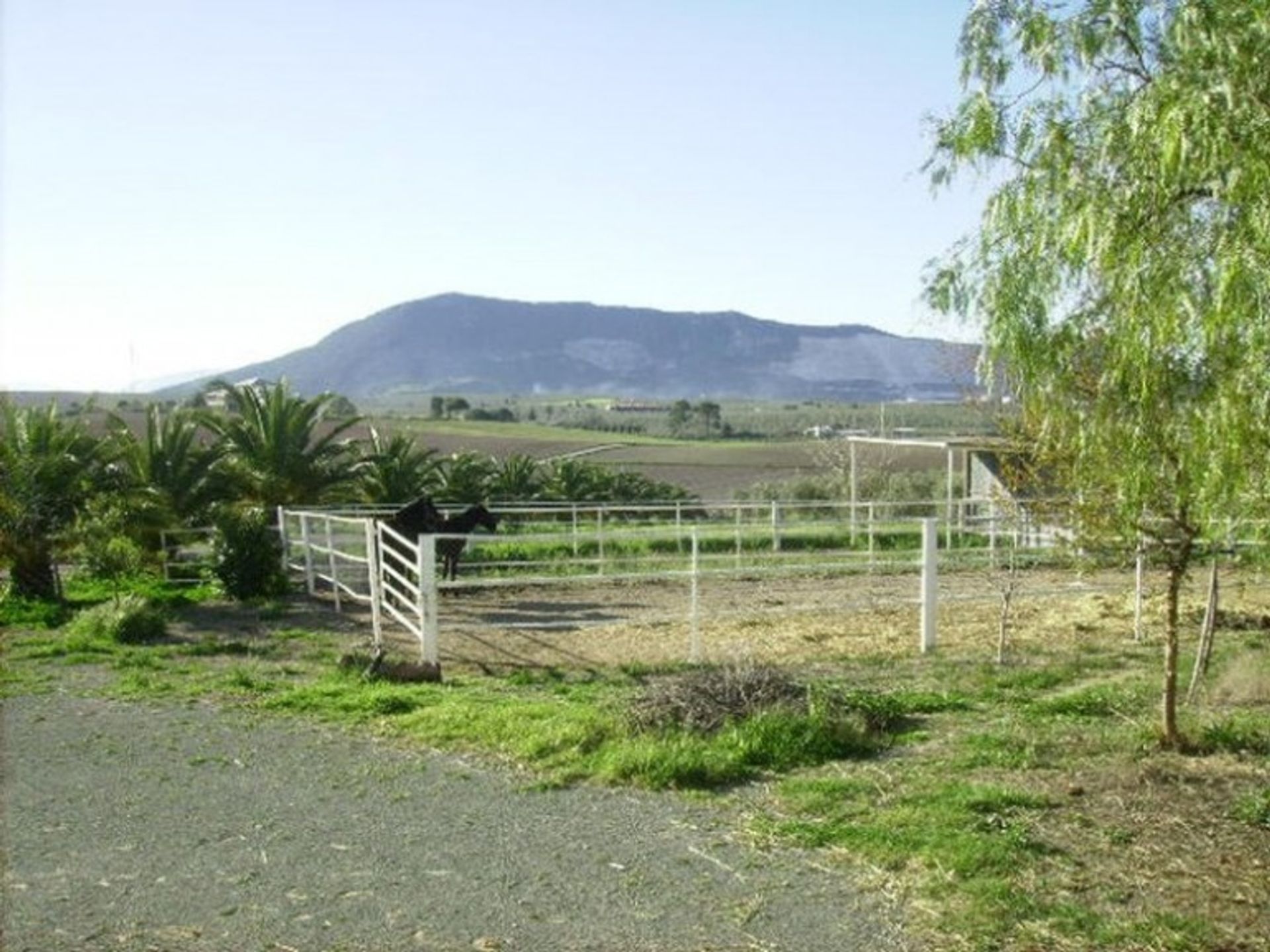 loger dans Morón de la Frontera, Andalucía 10914050