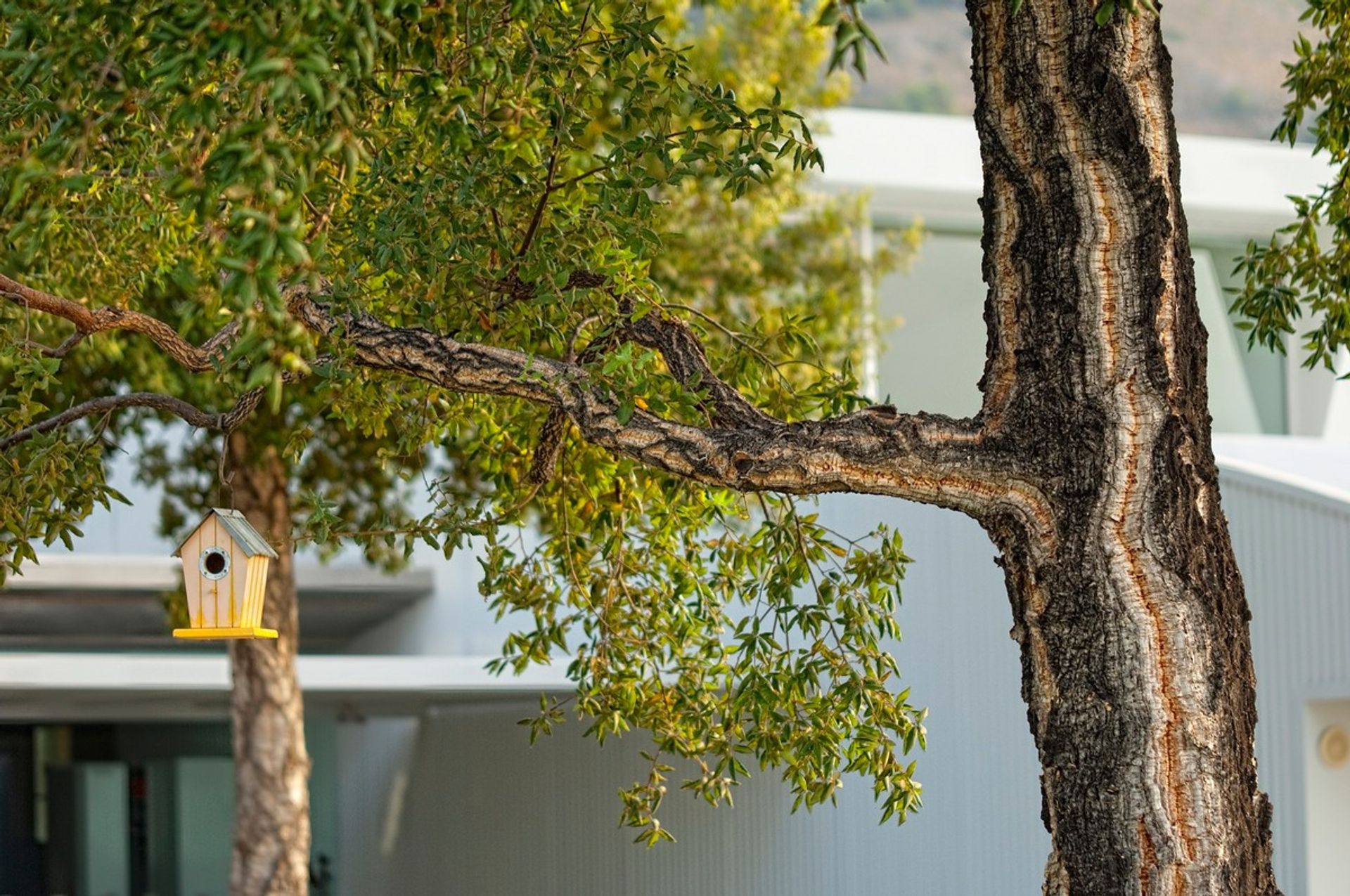 rumah dalam Las Lagunas de Mijas, Andalucía 10914273