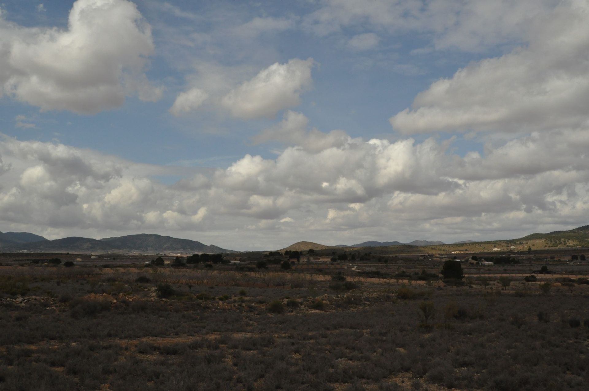 Tierra en Pinoso, Comunidad Valenciana 10914611