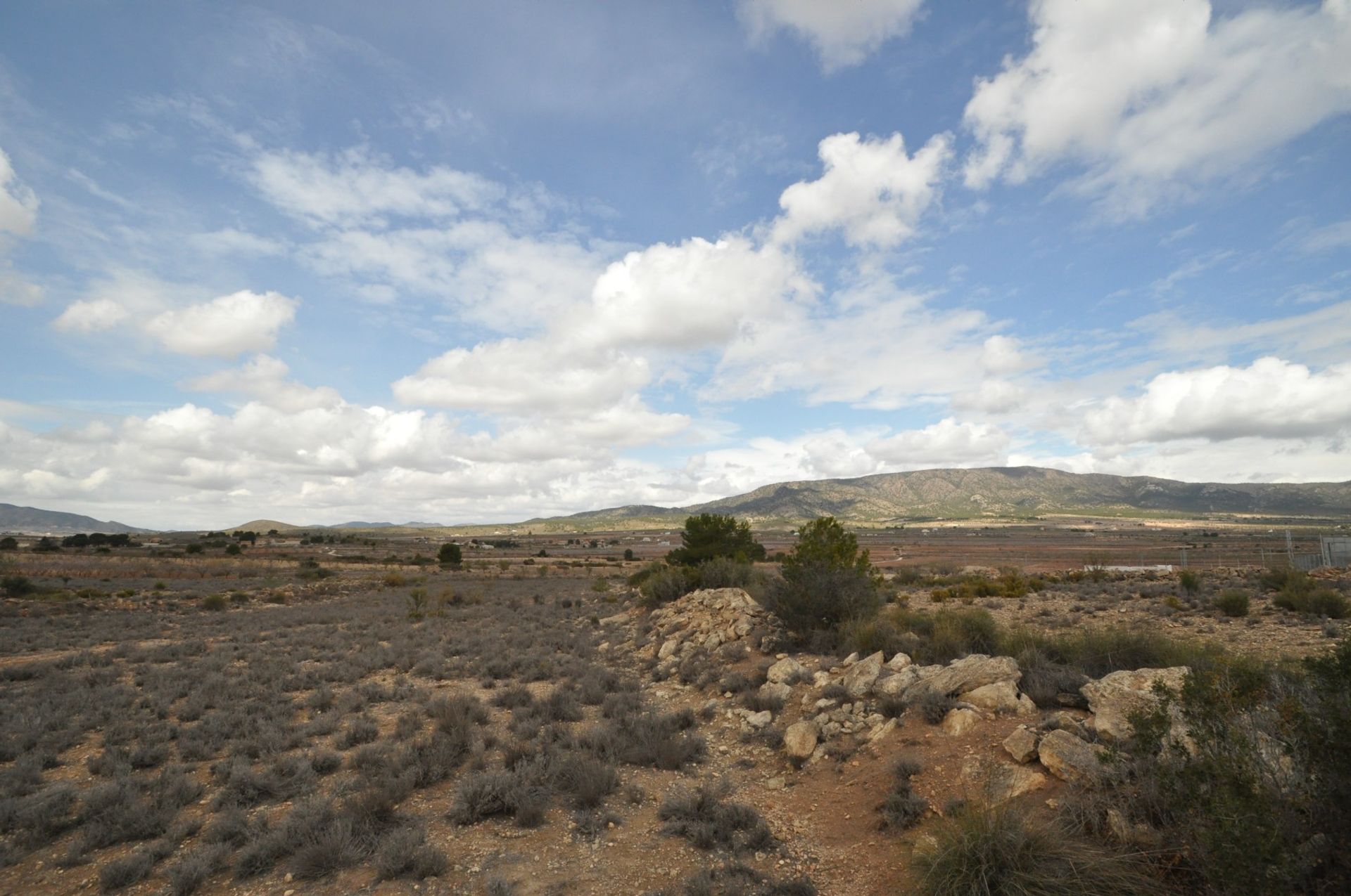 Land i Pinoso, Valencia 10914611