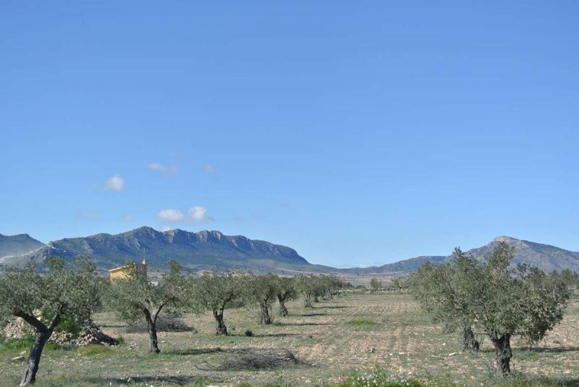 Casa nel Yecla, Región de Murcia 10914612