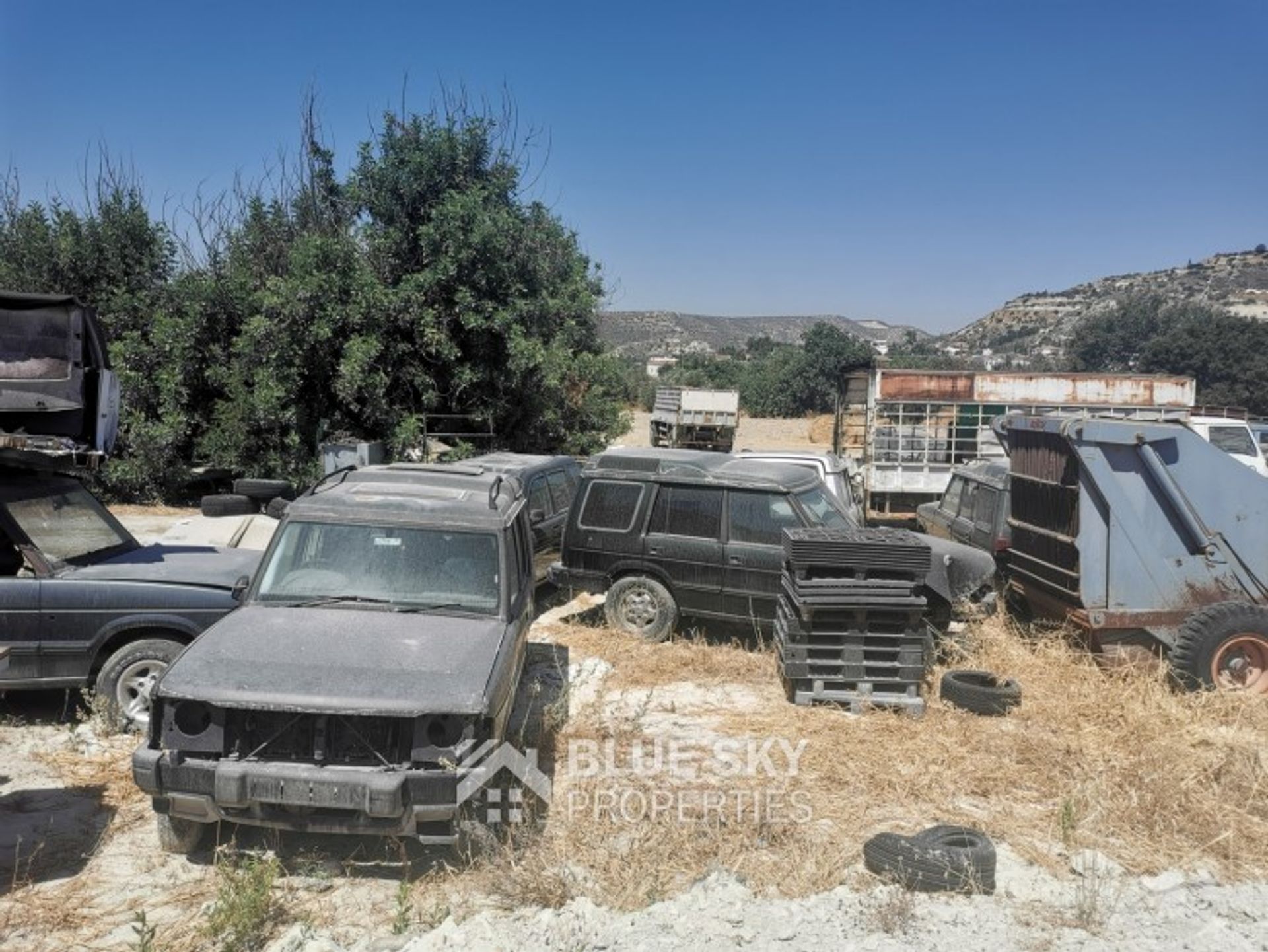 ארץ ב פאלודיה, למסוס 10914613