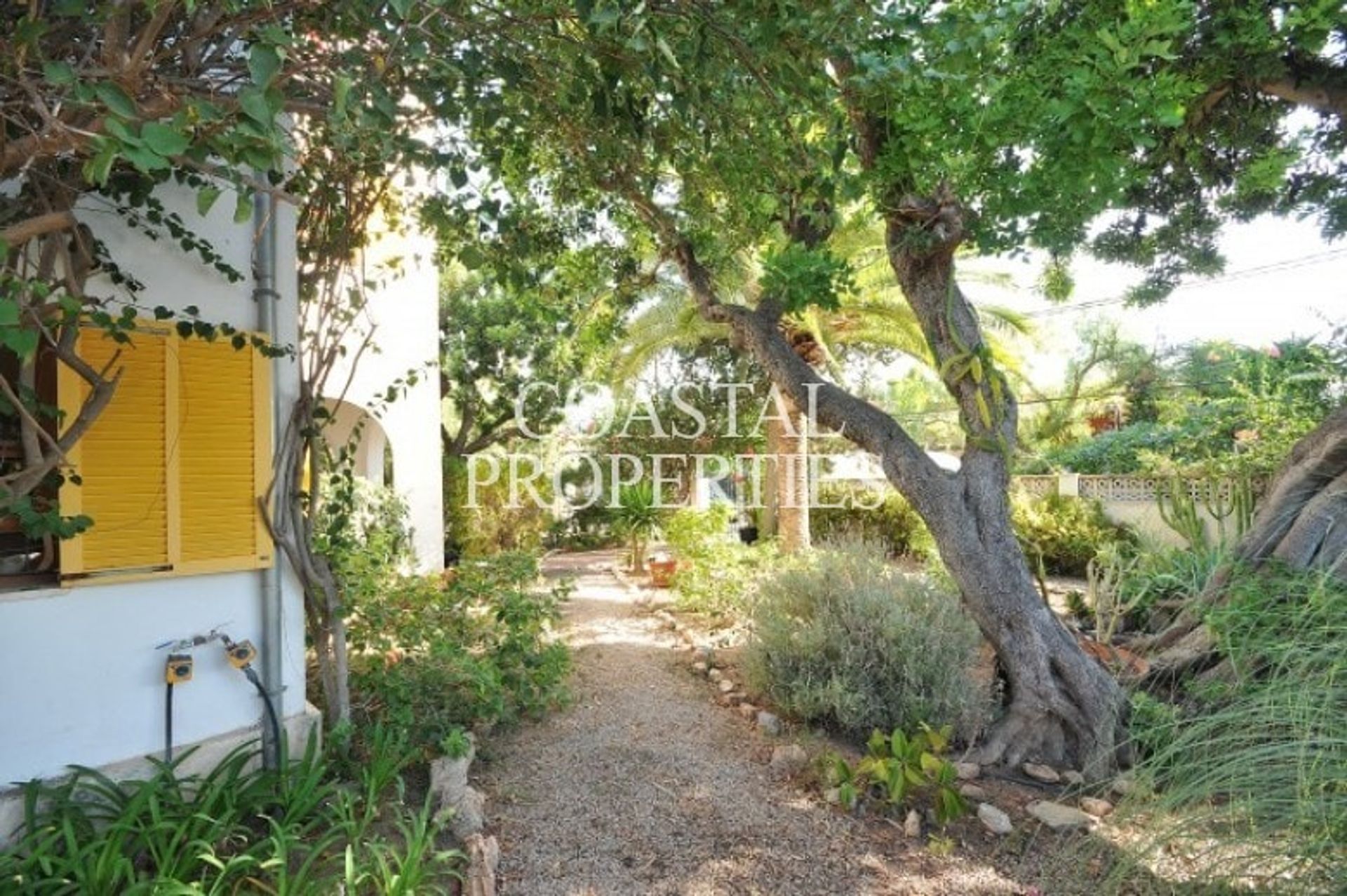 Huis in Portals Nous, Balearic Islands 10914749