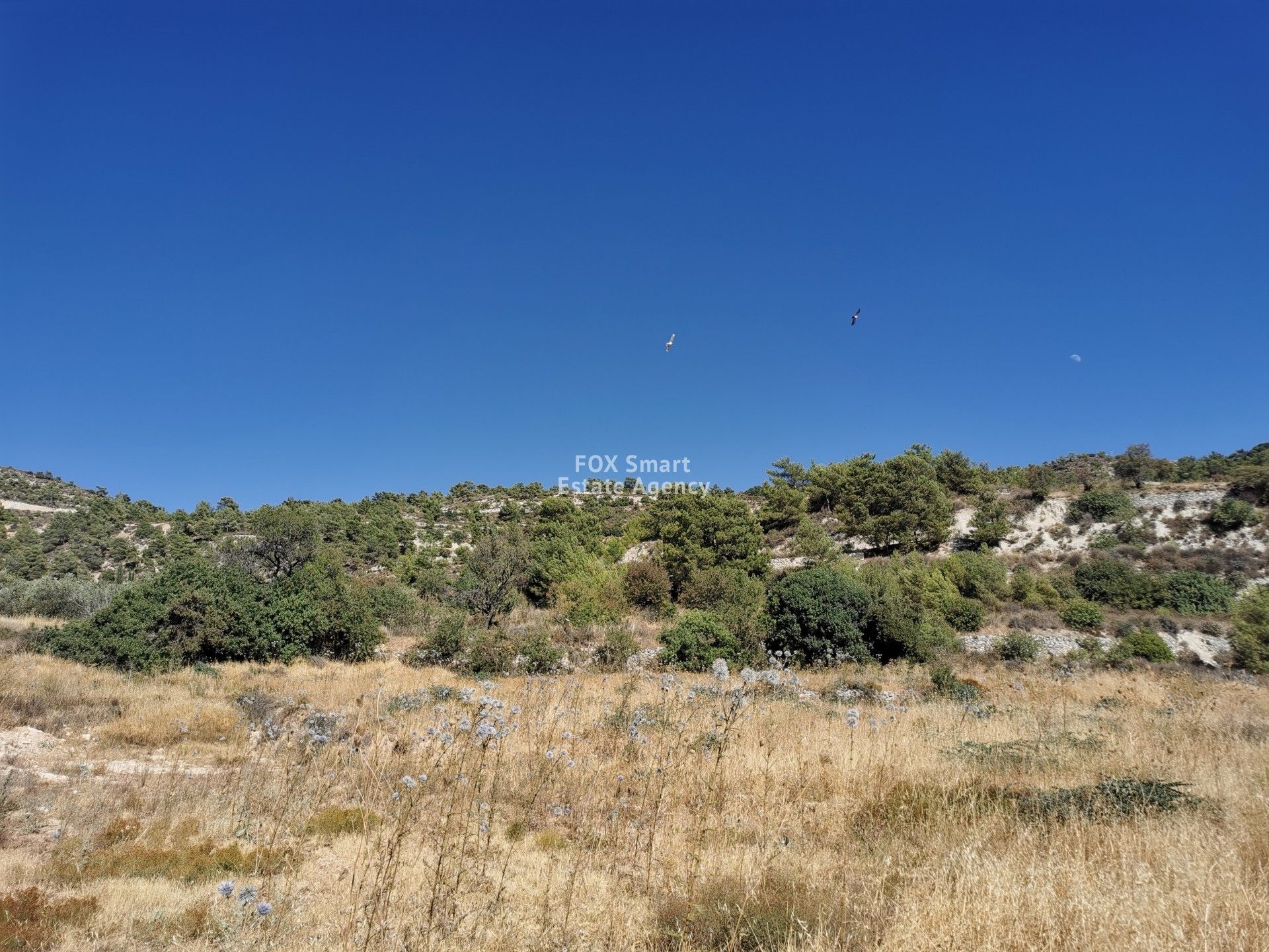 Land i Palodeia, Lemesos 10914882