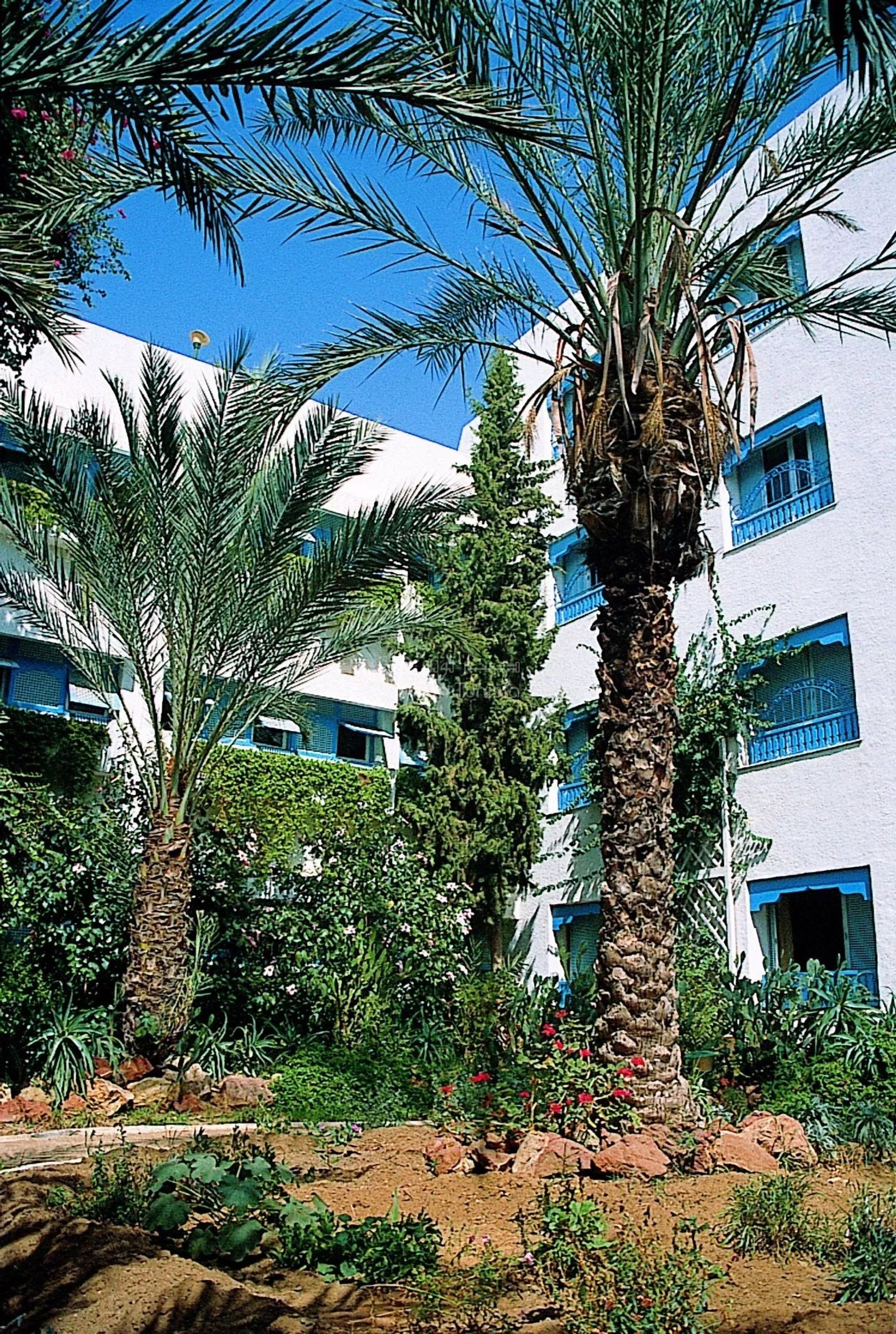 Kondominium w Hammamet, Hammamet 10915868