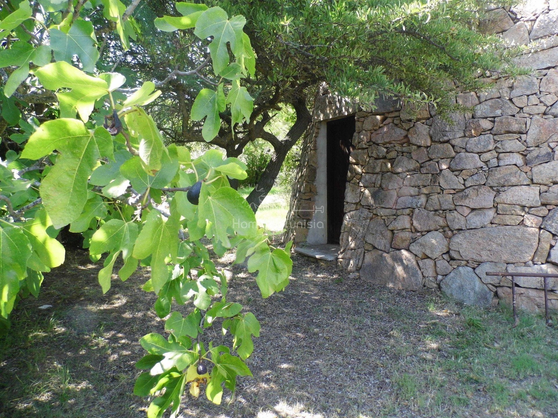 House in El Hamma, Gabes 10917082