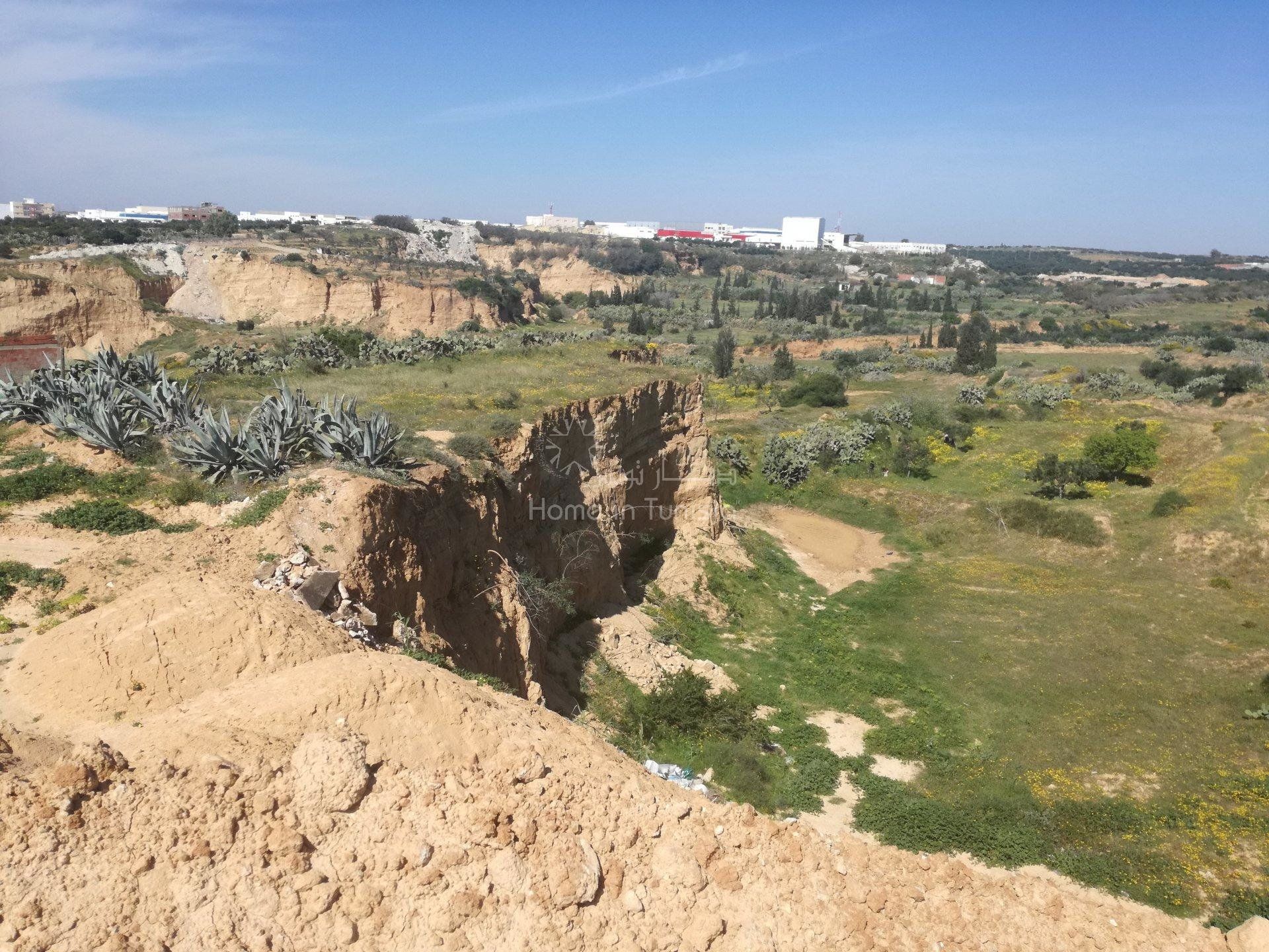 Αλλα σε Ελ Χάμα, Γκάμπες 10917280