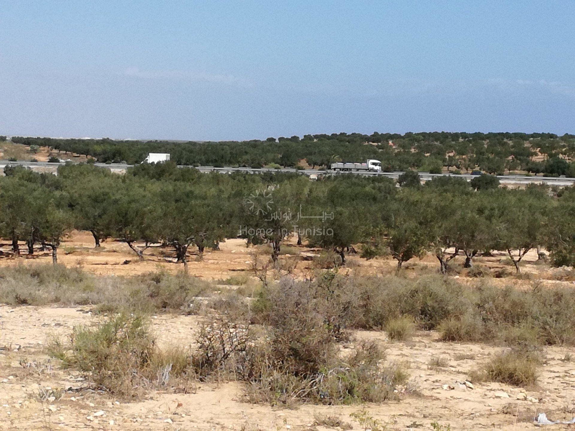 Autre dans El Hamma, Gabès 10917479