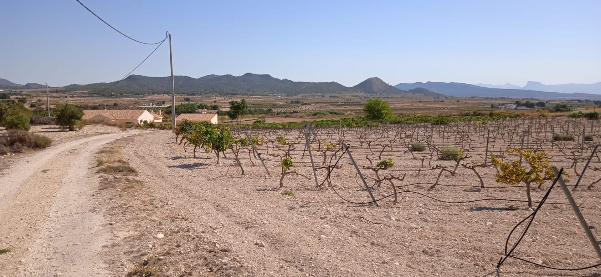 Tanah di Pinoso, Comunidad Valenciana 10918486