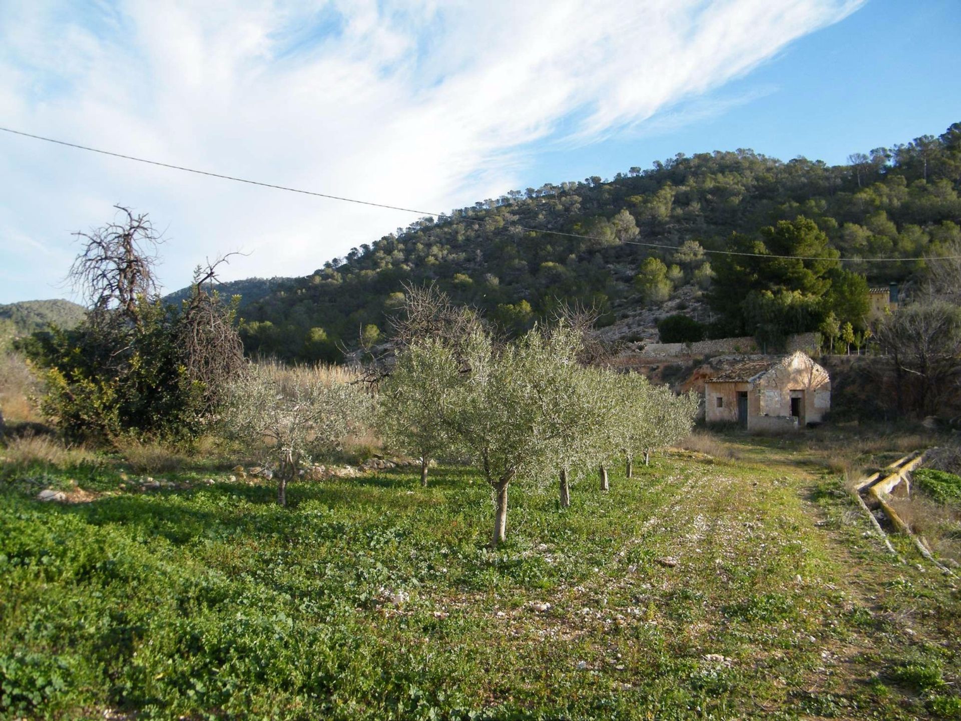 Casa nel , Comunidad Valenciana 10918500