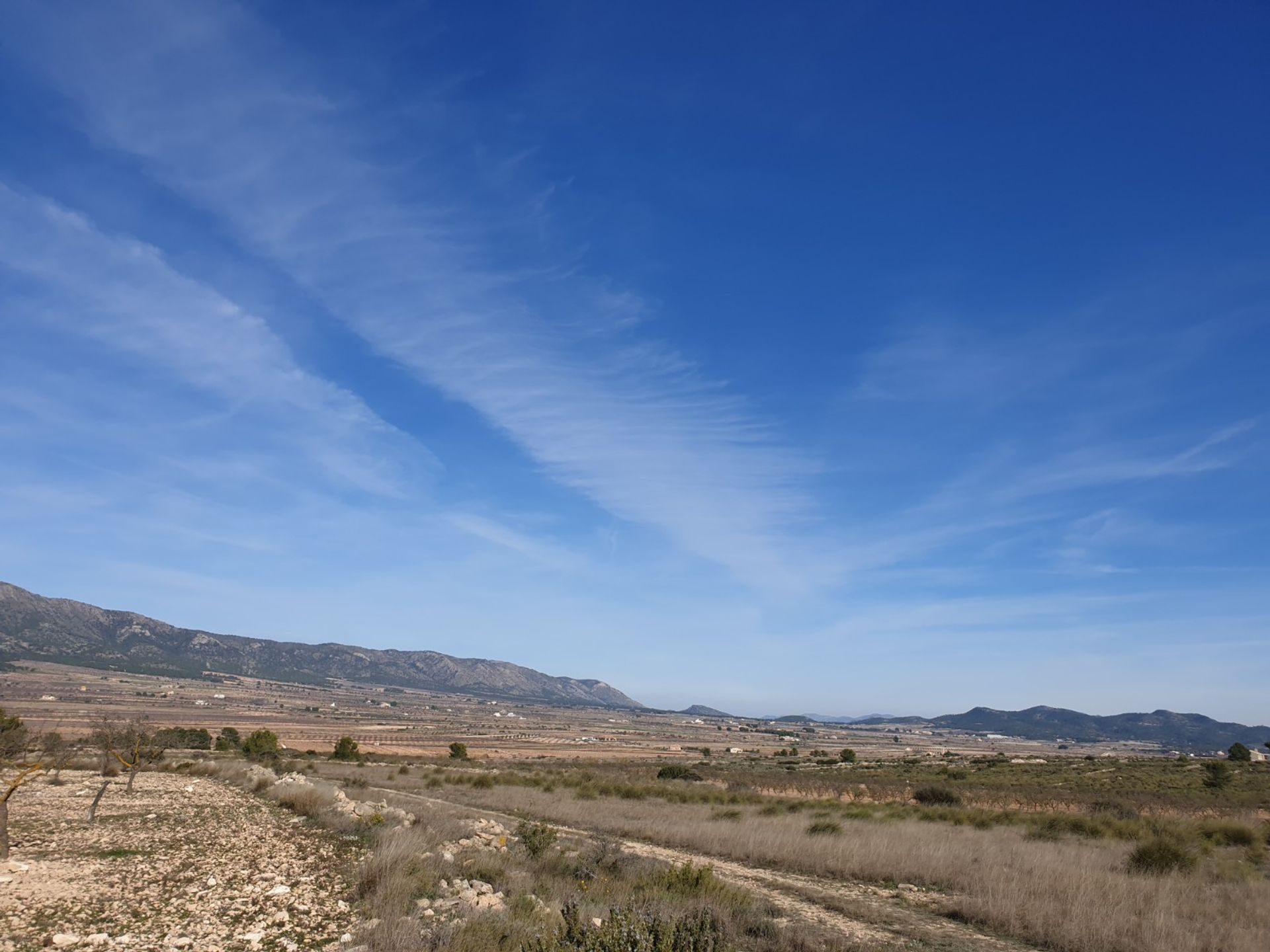 Γη σε Ο Πινόσο, Βαλένθια 10918502