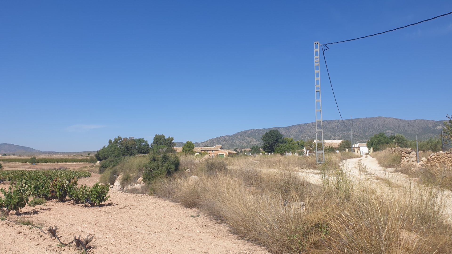 Tierra en pinoso, Valencia 10918506