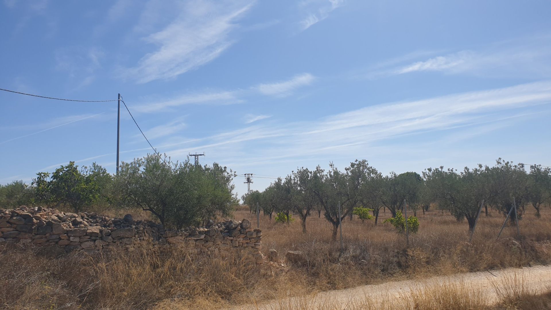 Land in Pinoso, Comunidad Valenciana 10918506