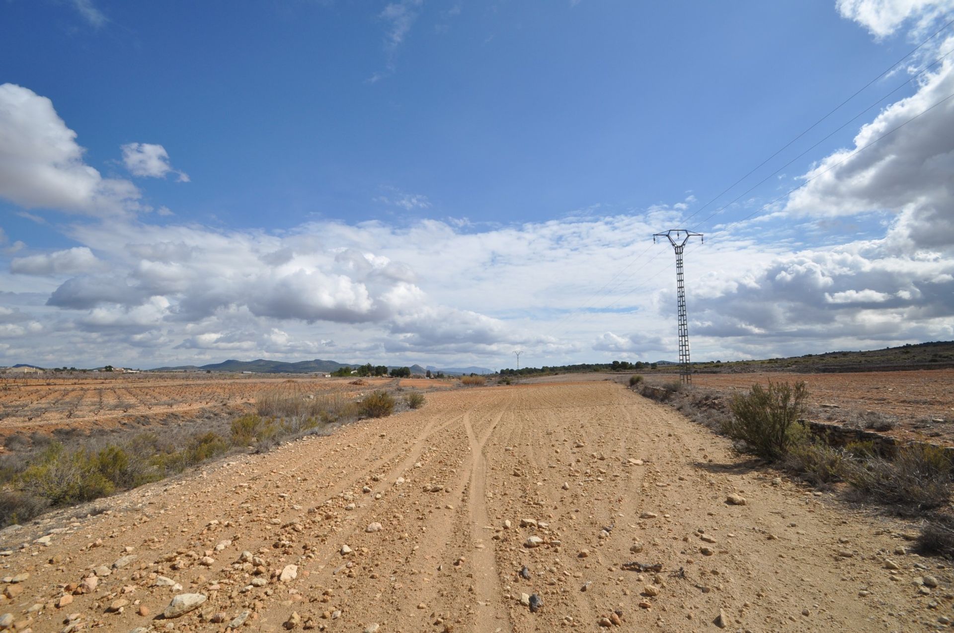 Tanah dalam Pinoso, Valencia 10918507