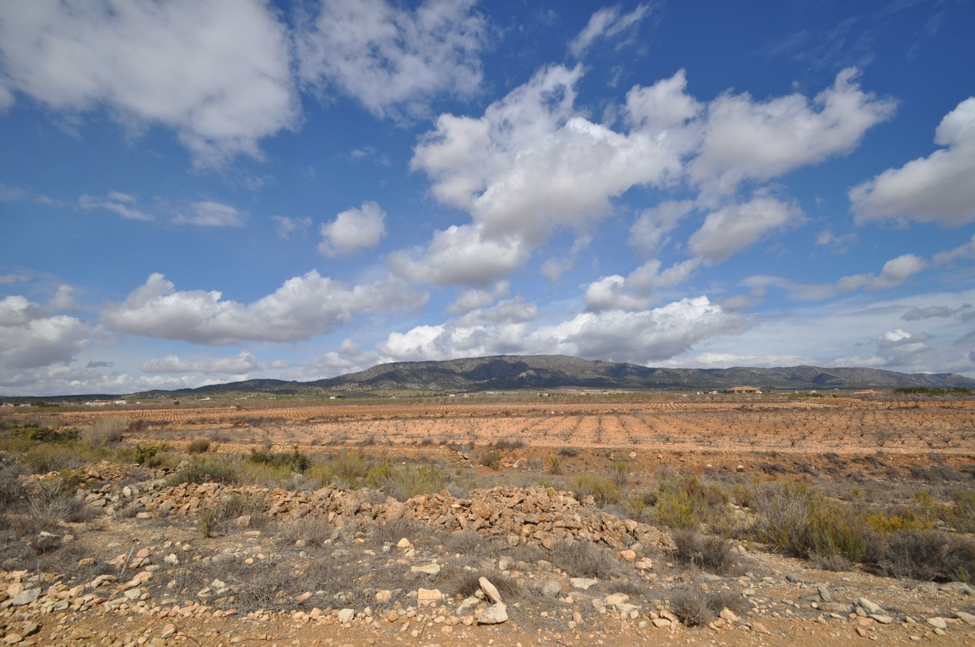 Terra no Pinoso, Valência 10918507