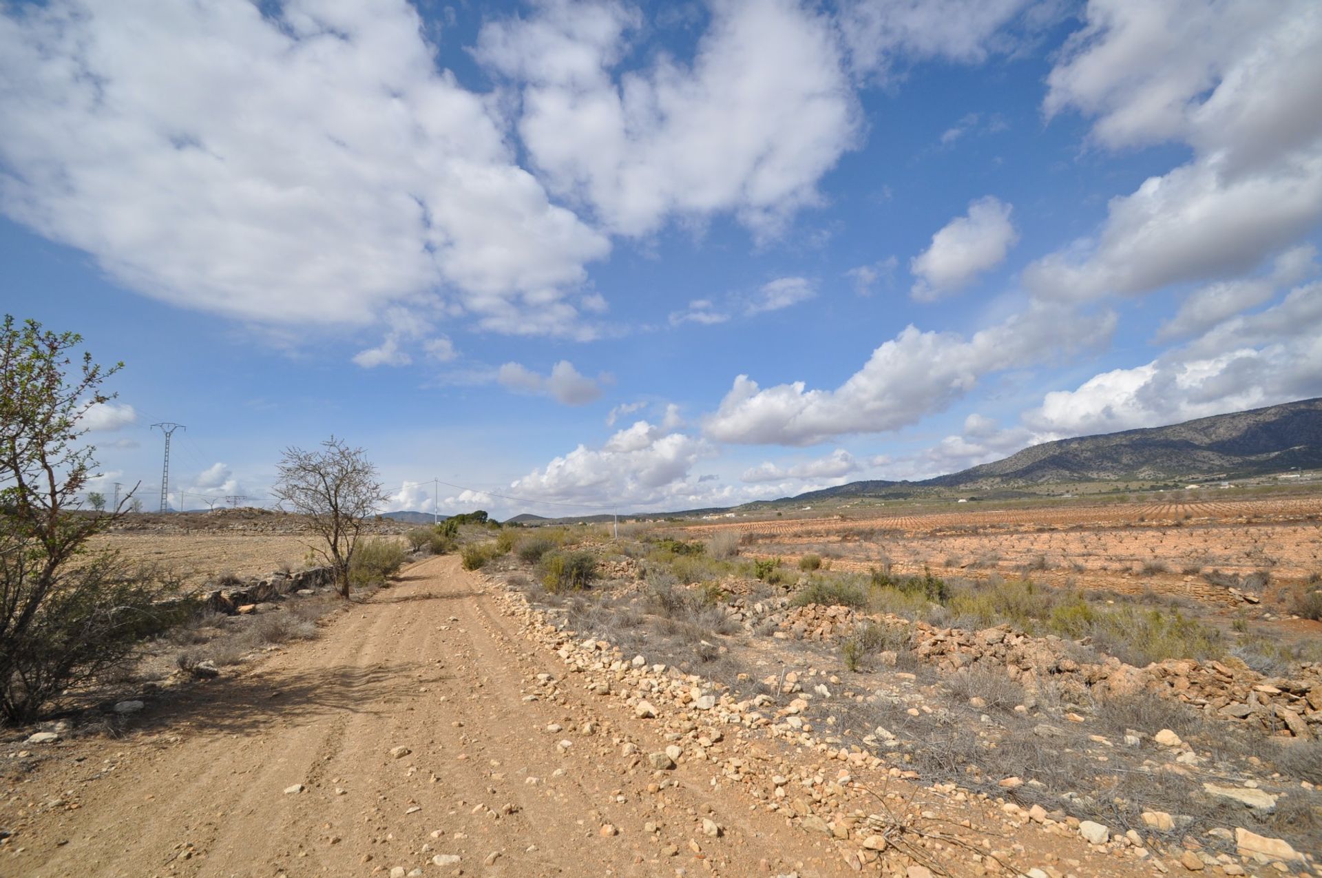 Terra no Pinoso, Valência 10918507