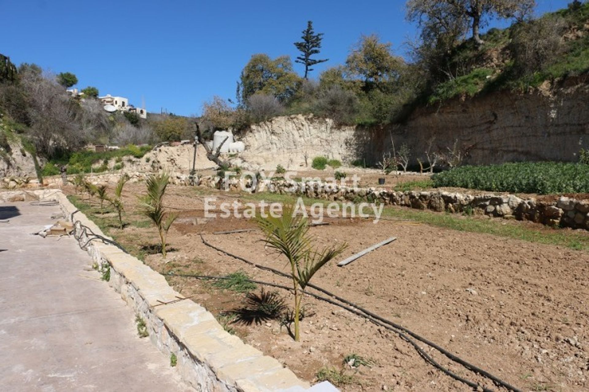 Teollinen sisään Paphos, Paphos 10918715