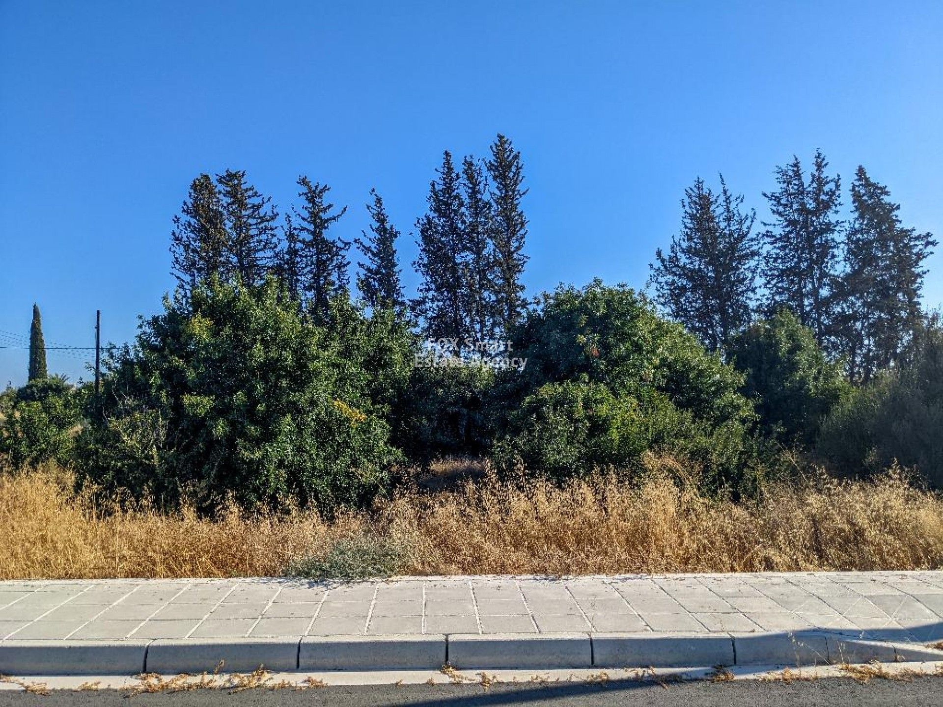 Tanah dalam Agia Marinouda, Pafos 10918805