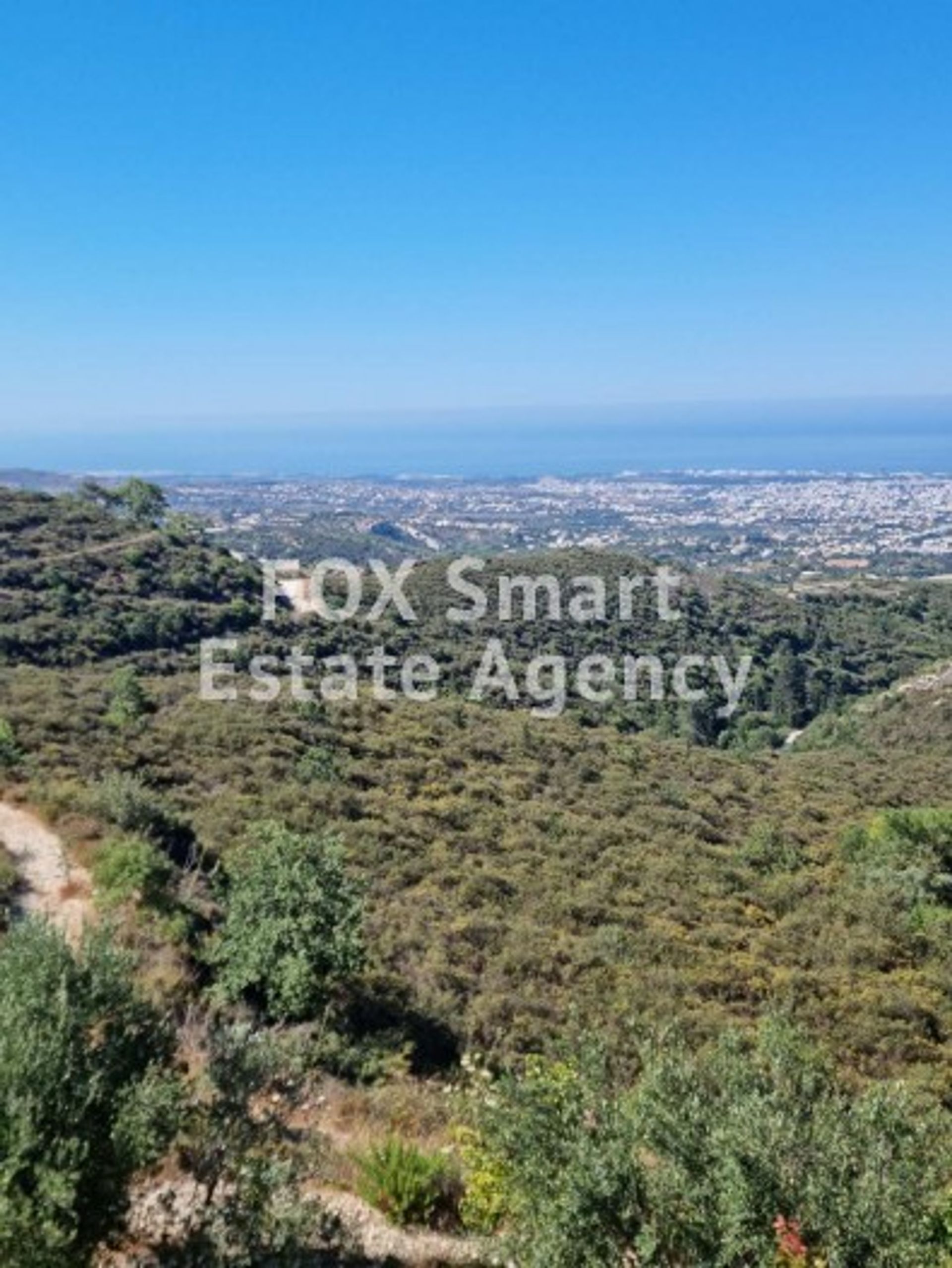 Land in Mesogi, Pafos 10918831