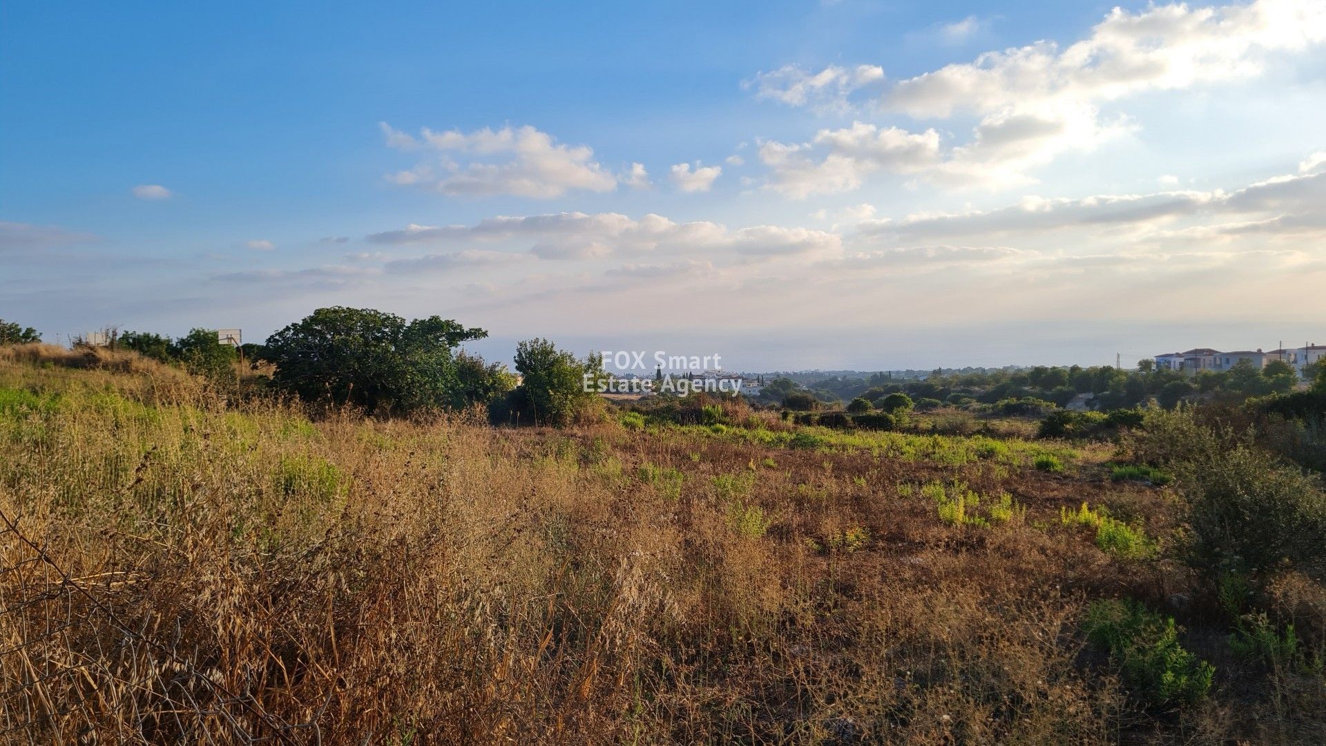 Land in Tala, Pafos 10918908