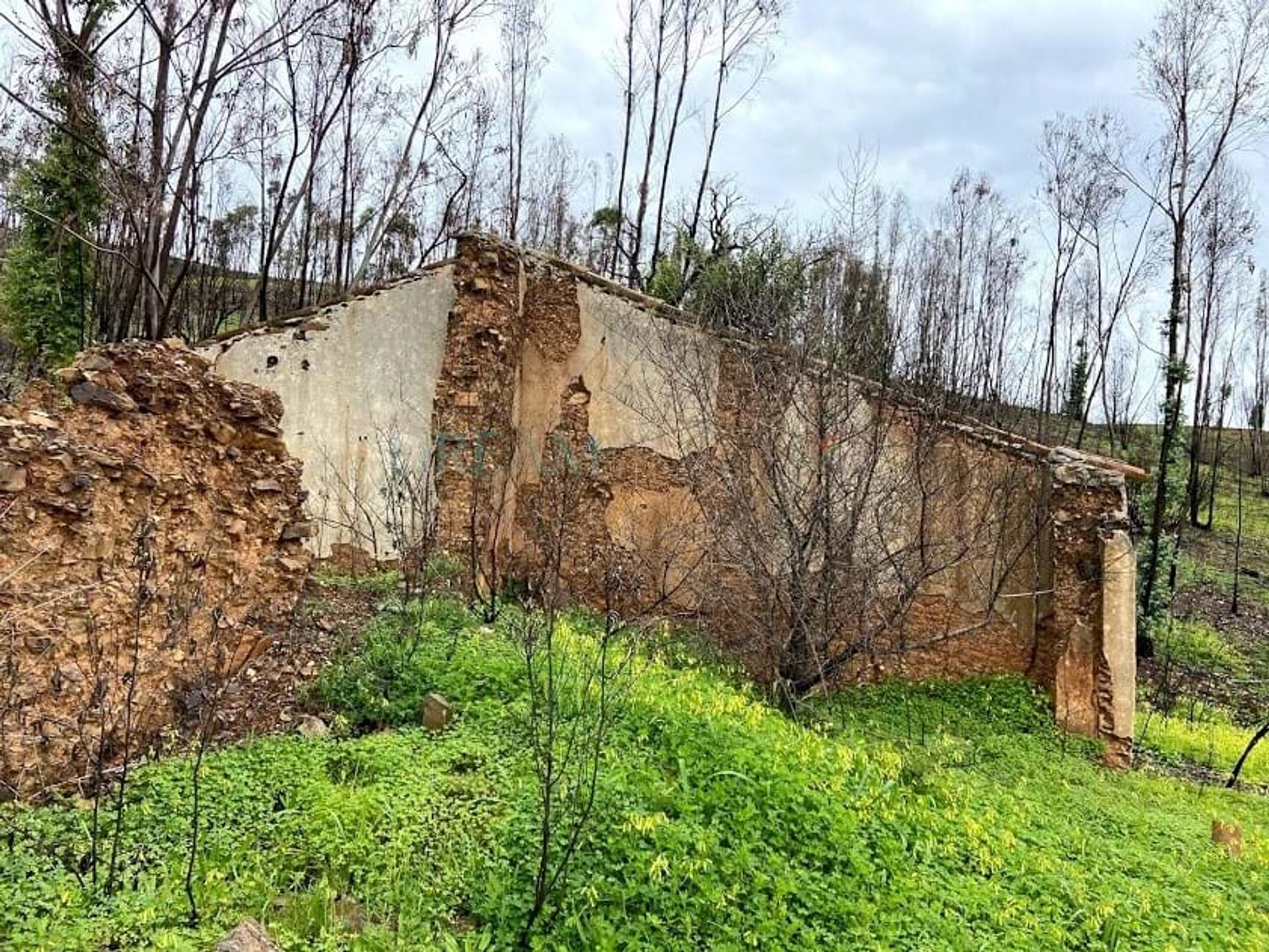 Γη σε Vila do Bispo, Φαραώ 10920305