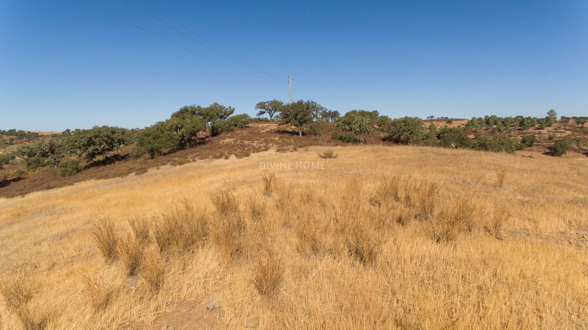 Tierra en Corte del Pinto, Beja 10920398