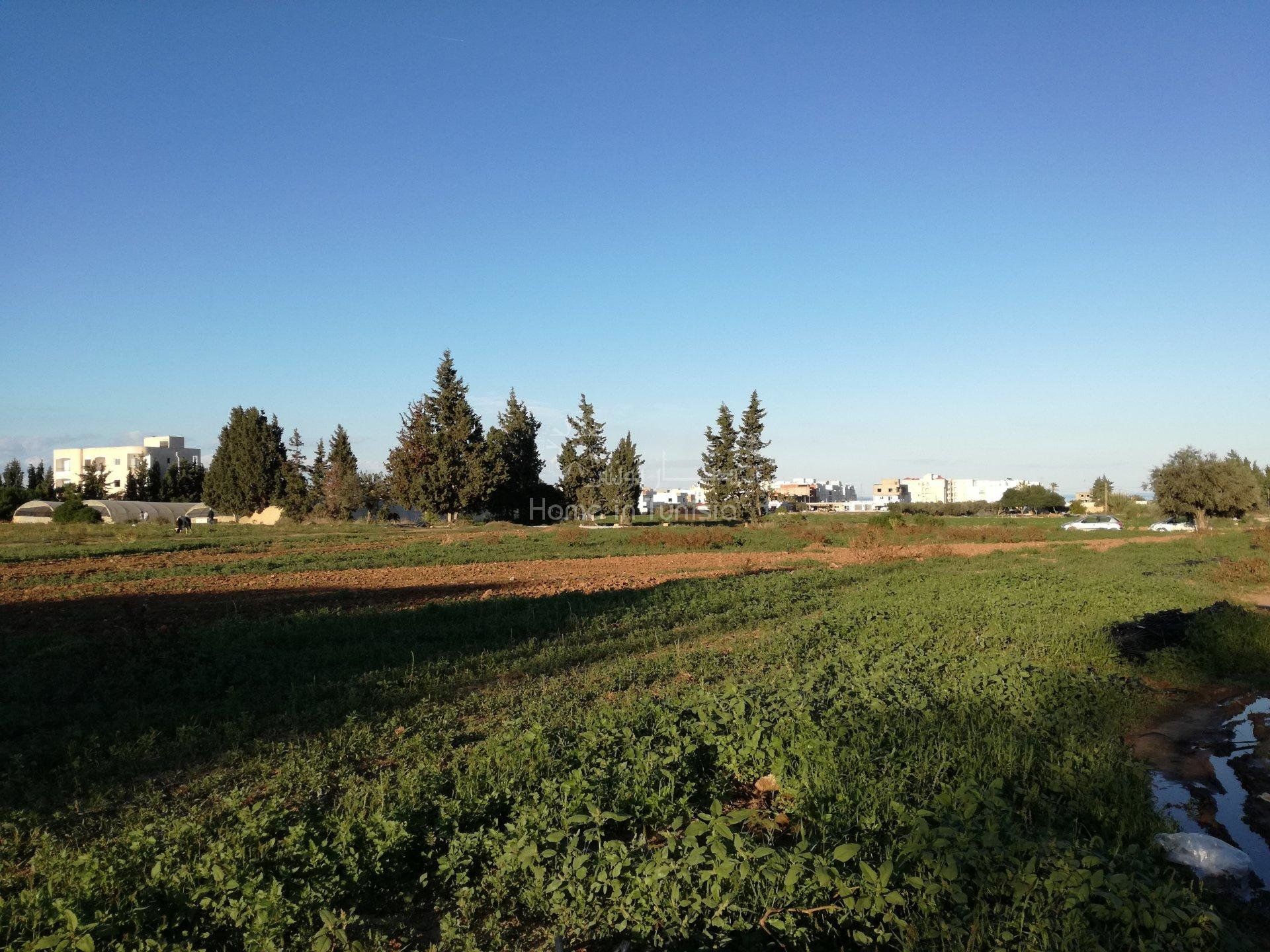 Autre dans El Hamma, Gabès 10920436