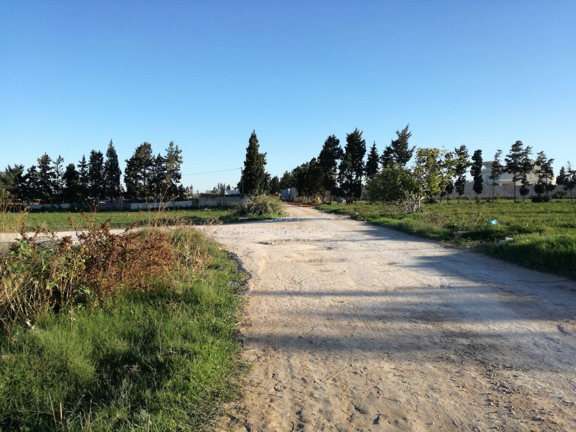 Autre dans El Hamma, Gabès 10920436