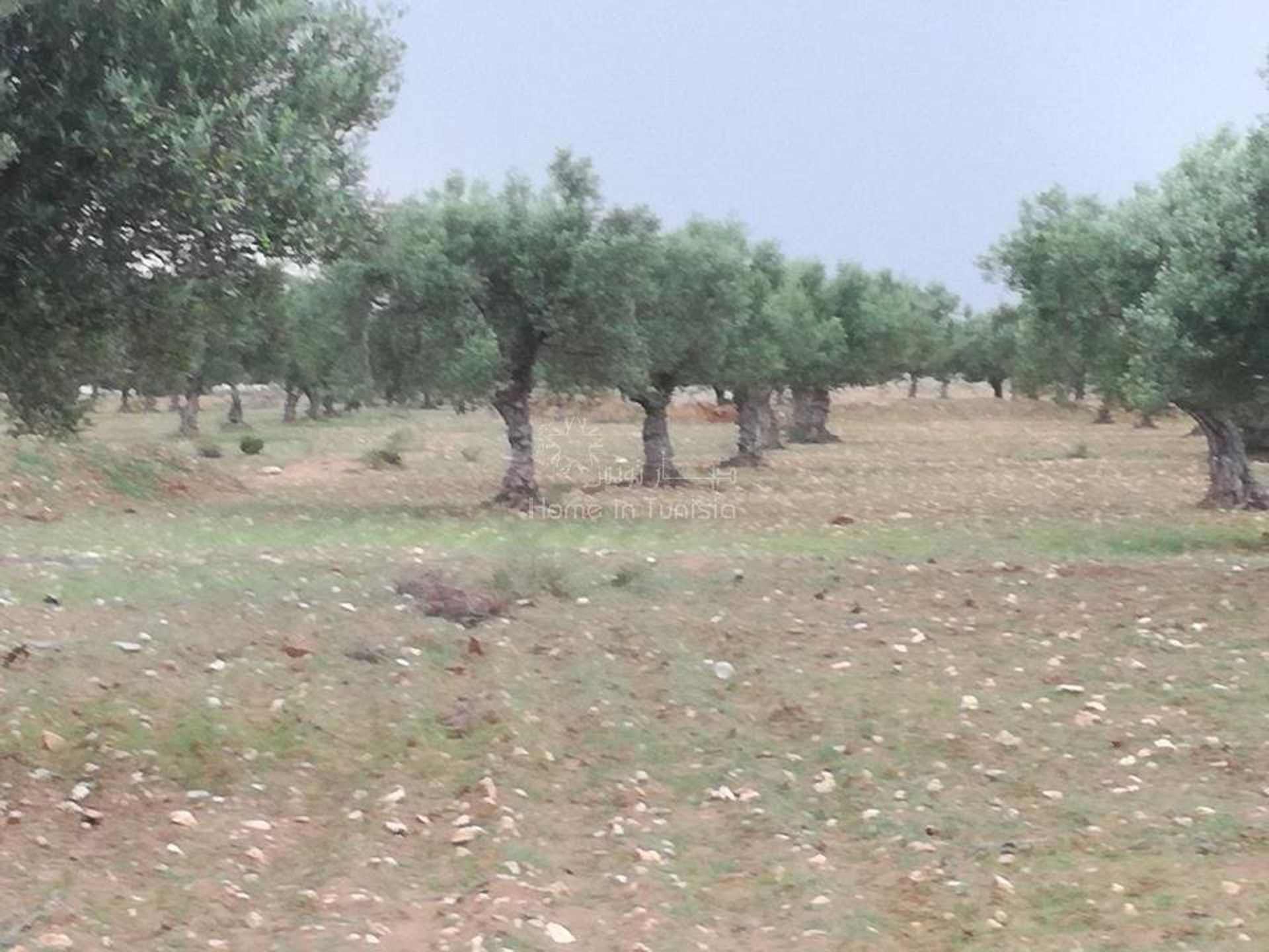 Otro en El Hamma, Gabés 10920450