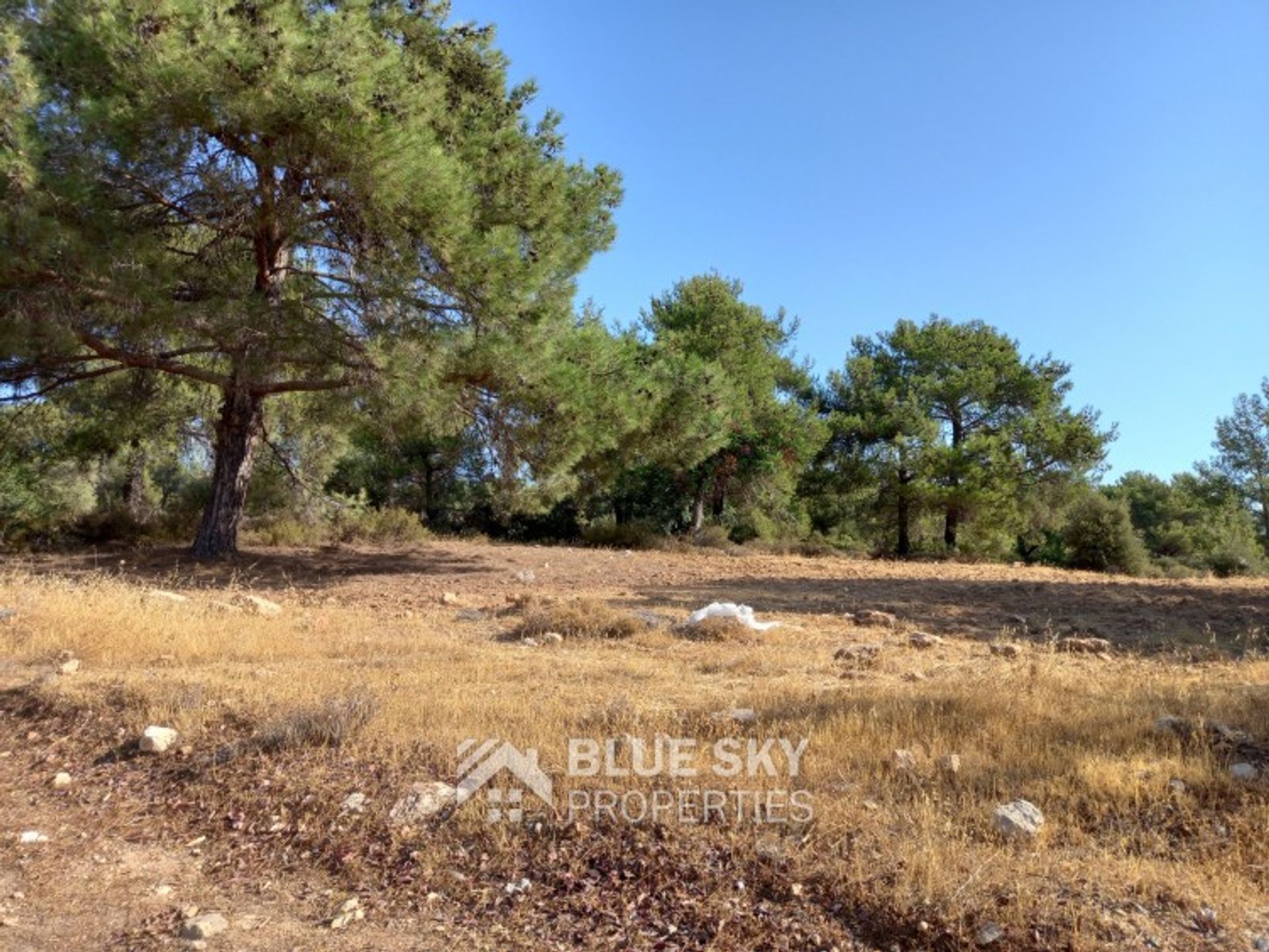 Land im Souni-Zanakia, Limassol 10920710