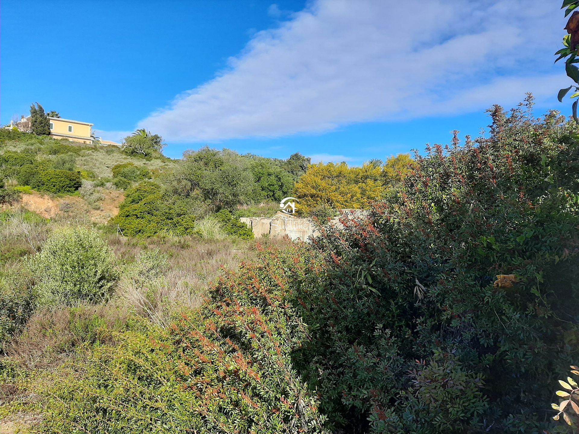 ארץ ב Luz, Faro 10920819