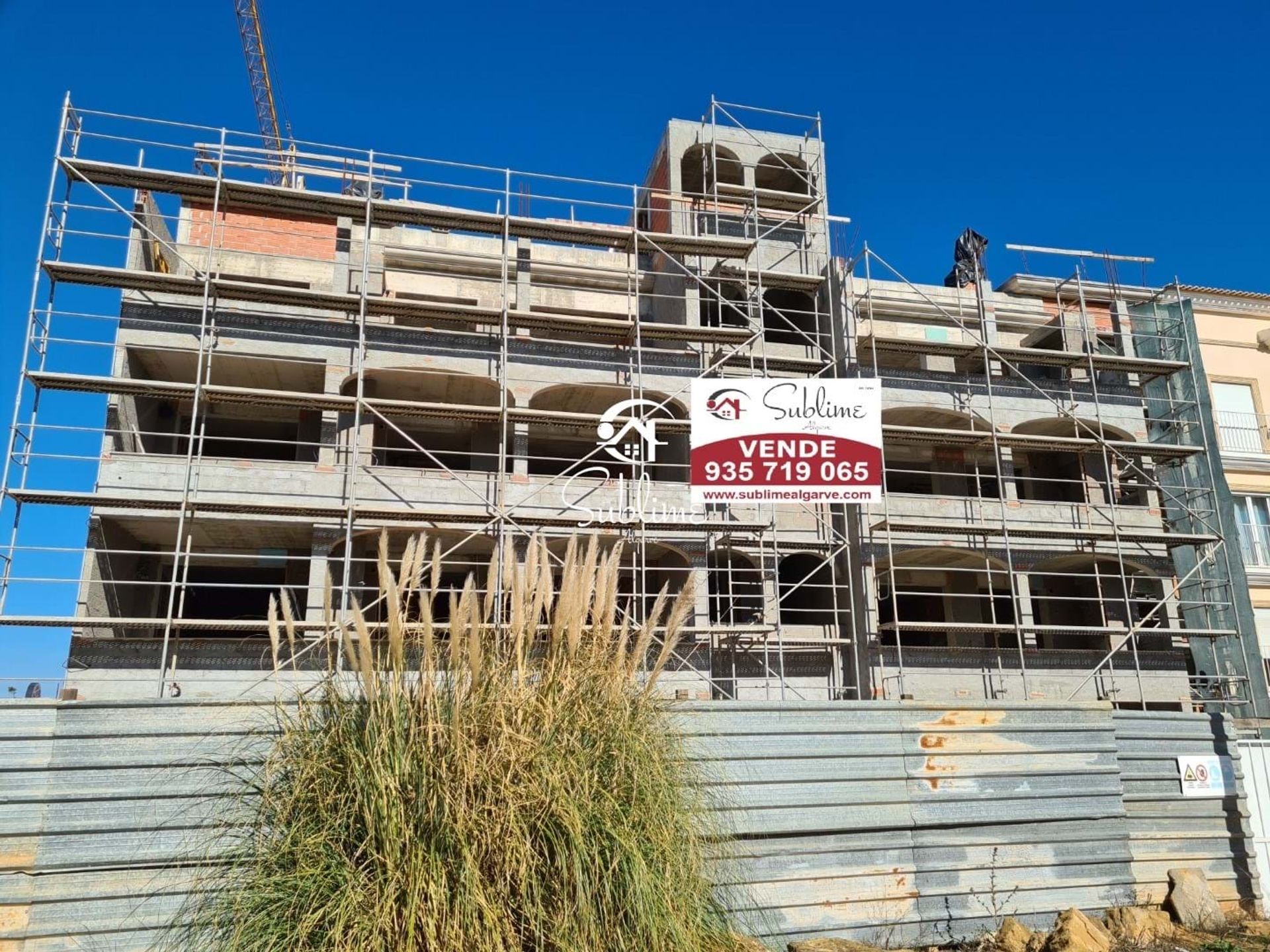 Συγκυριαρχία σε Senhora da Gloria, Φαραώ 10920837