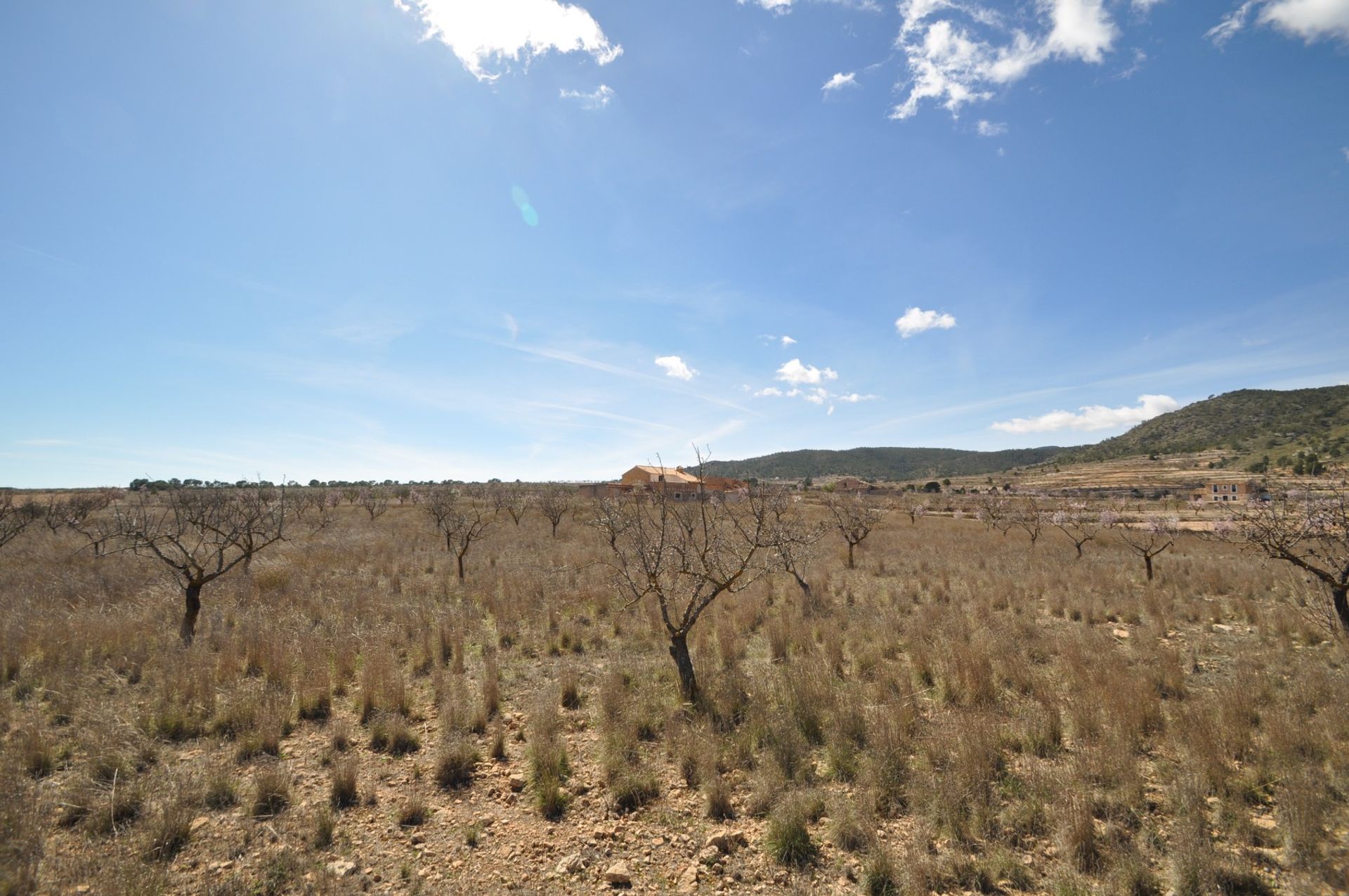 Tanah di Yecla, Región de Murcia 10921244