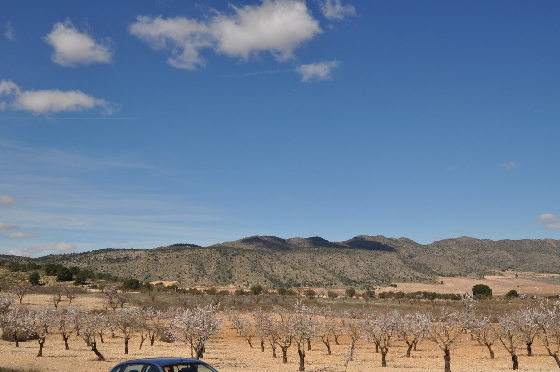 土地 在 Yecla, Región de Murcia 10921244