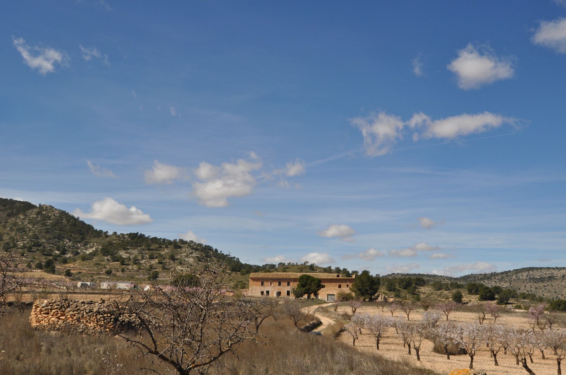 Tanah di Yecla, Región de Murcia 10921244