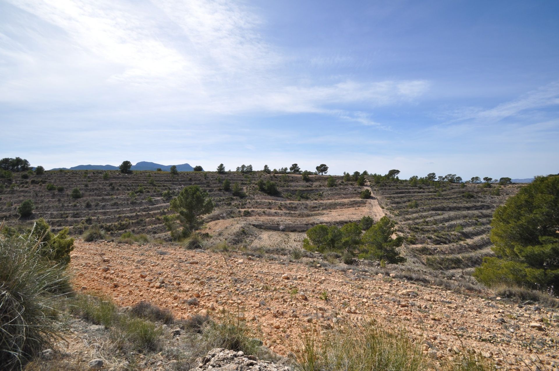 Land in La Zarza, Región de Murcia 10921246