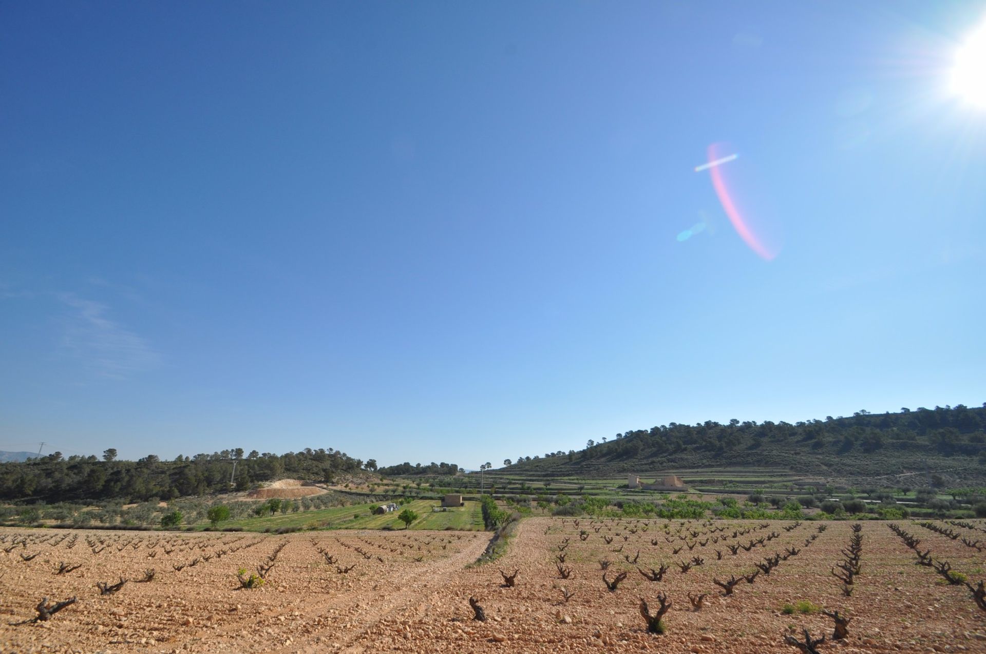 Land in La Zarza, Región de Murcia 10921248