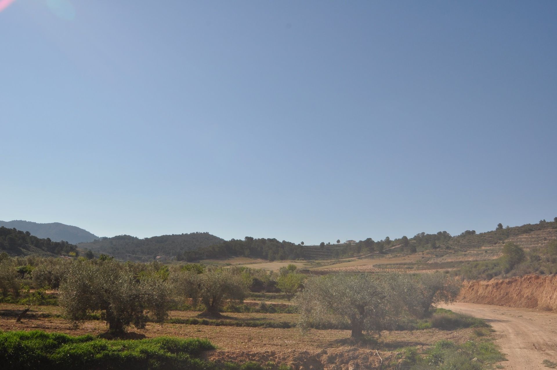 Γη σε Ο Πινόσο, Βαλένθια 10921250