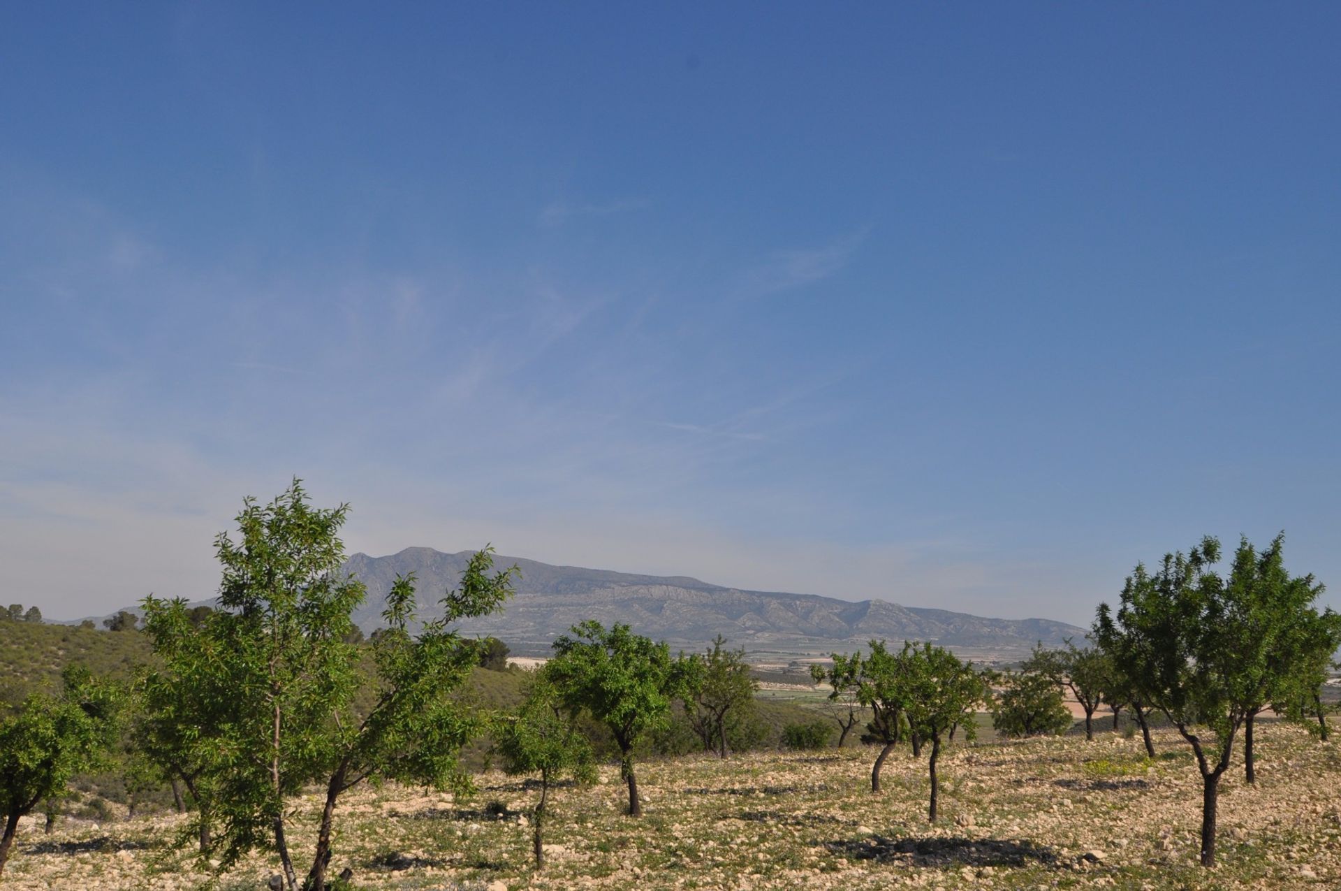 土地 在 La Zarza, Región de Murcia 10921252