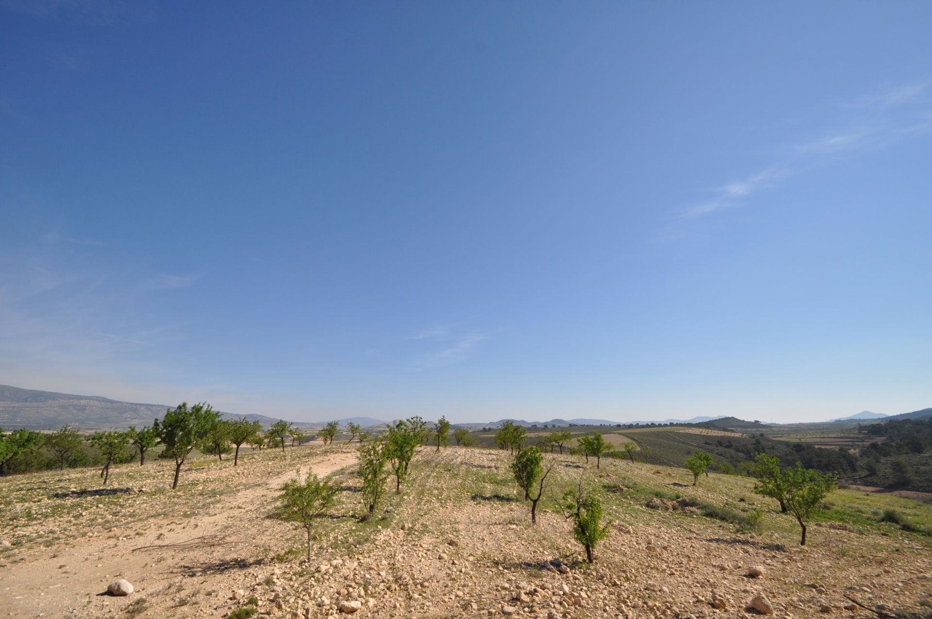 土地 在 La Zarza, Región de Murcia 10921252