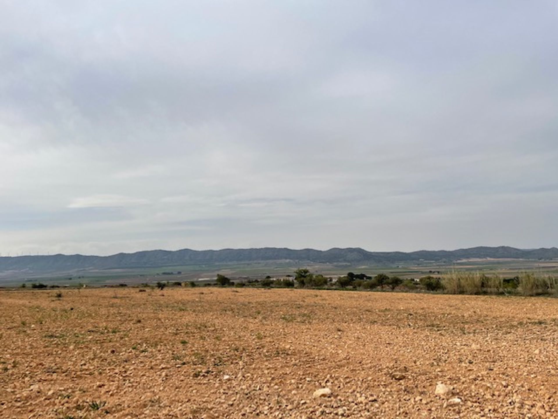 Jord i Yecla, Región de Murcia 10921256