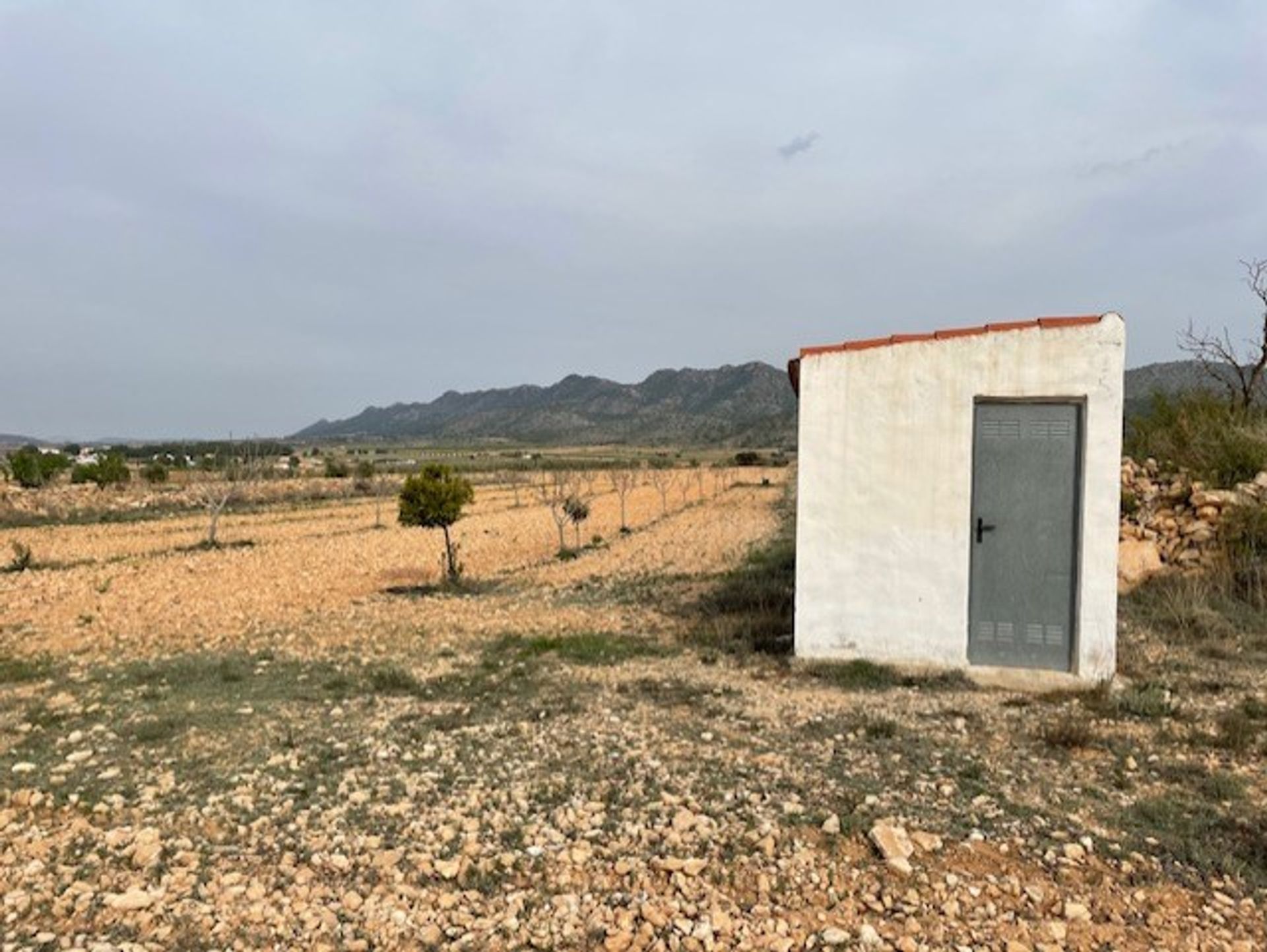 Tanah dalam Yecla, Región de Murcia 10921256