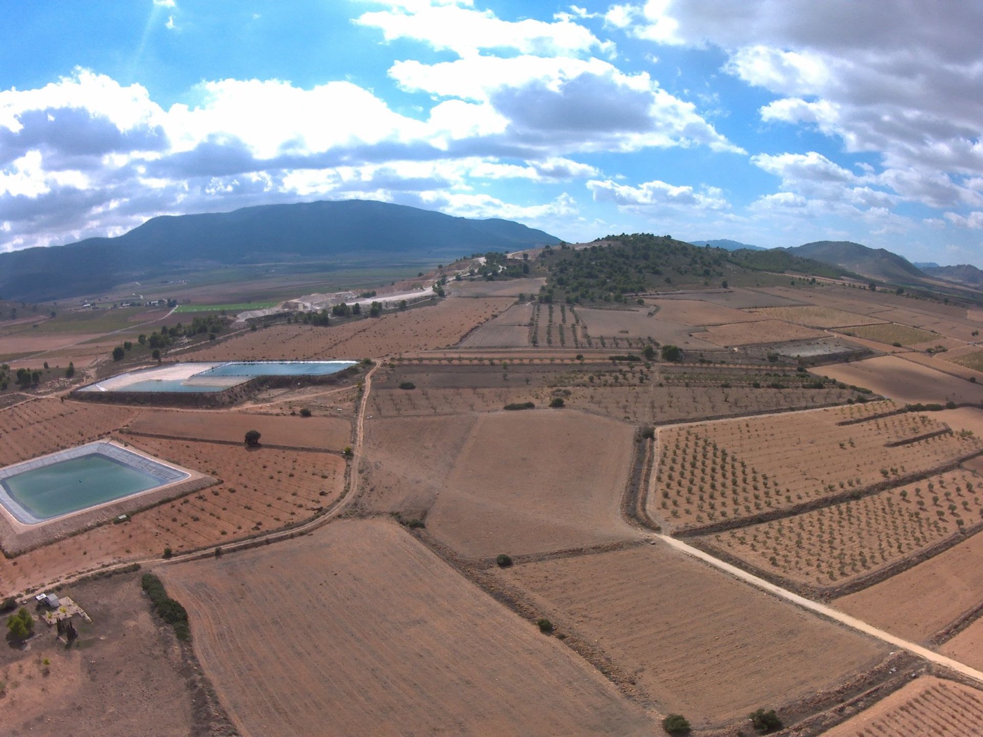 土地 在 Yecla, Región de Murcia 10921257