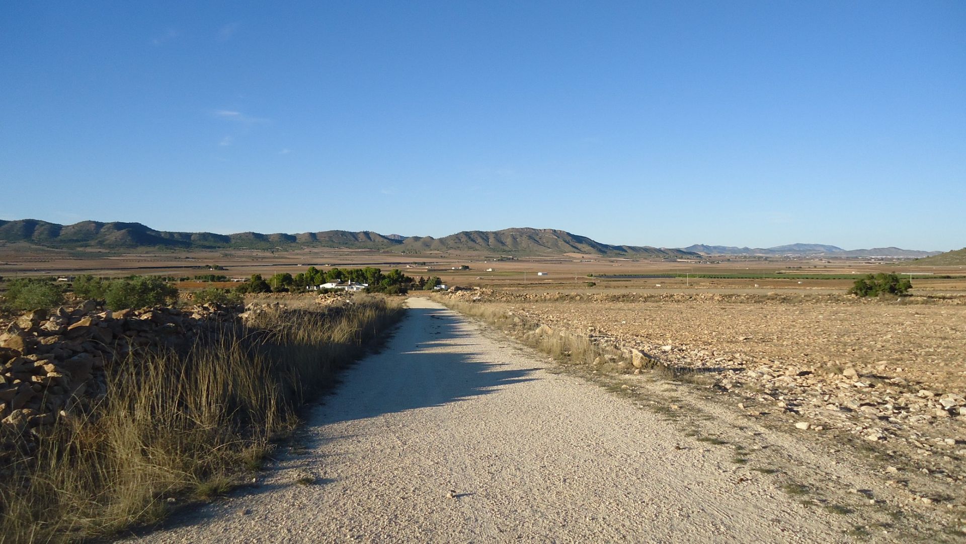 土地 在 Yecla, Región de Murcia 10921257