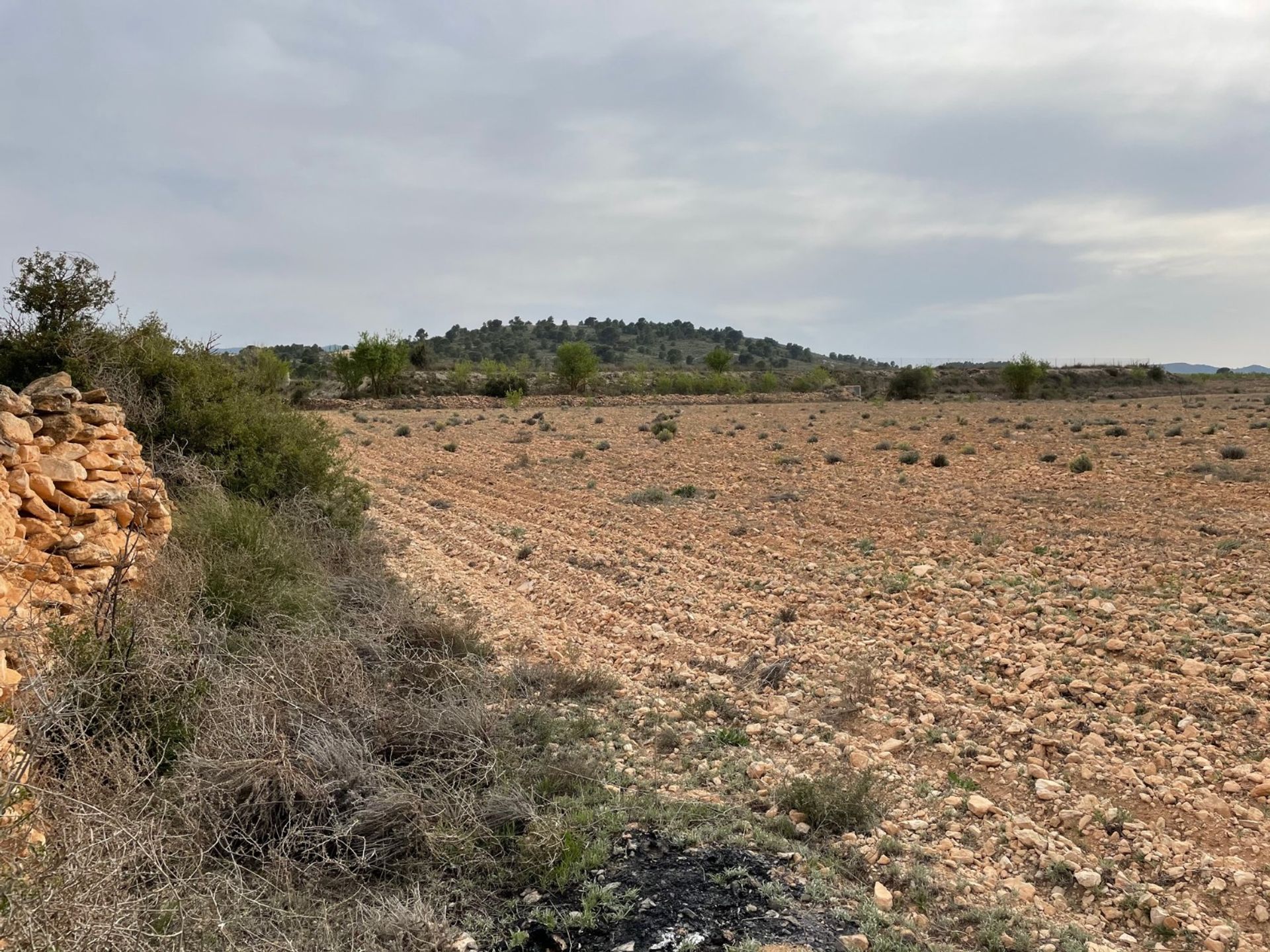 Land in Yecla, Región de Murcia 10921257