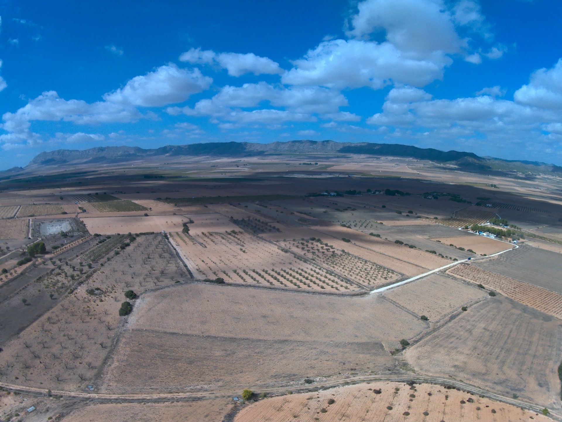 Terre dans Yecla, Región de Murcia 10921257